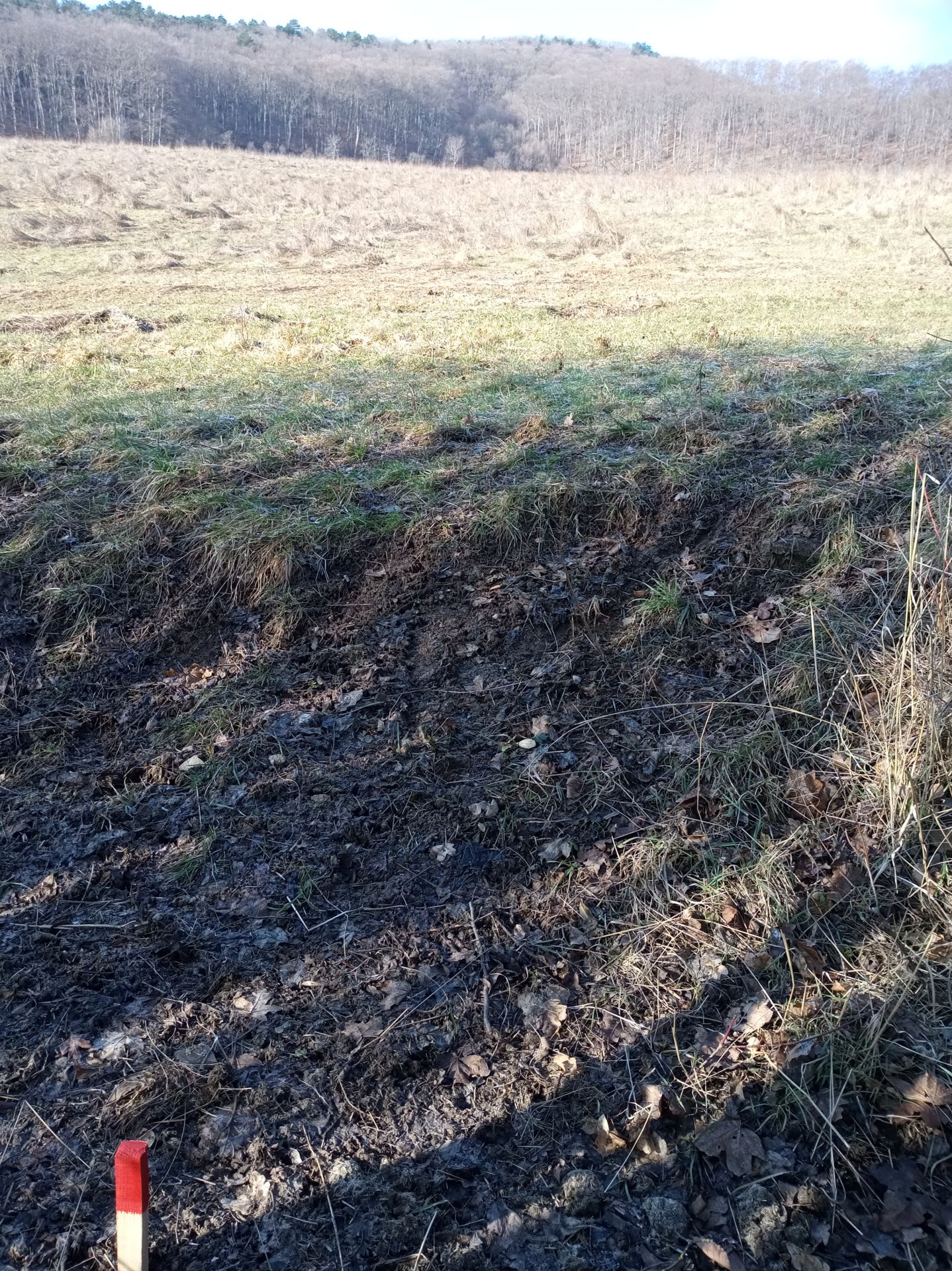Predám slnečný pozemok v lokalite Bzince pod Javorinou