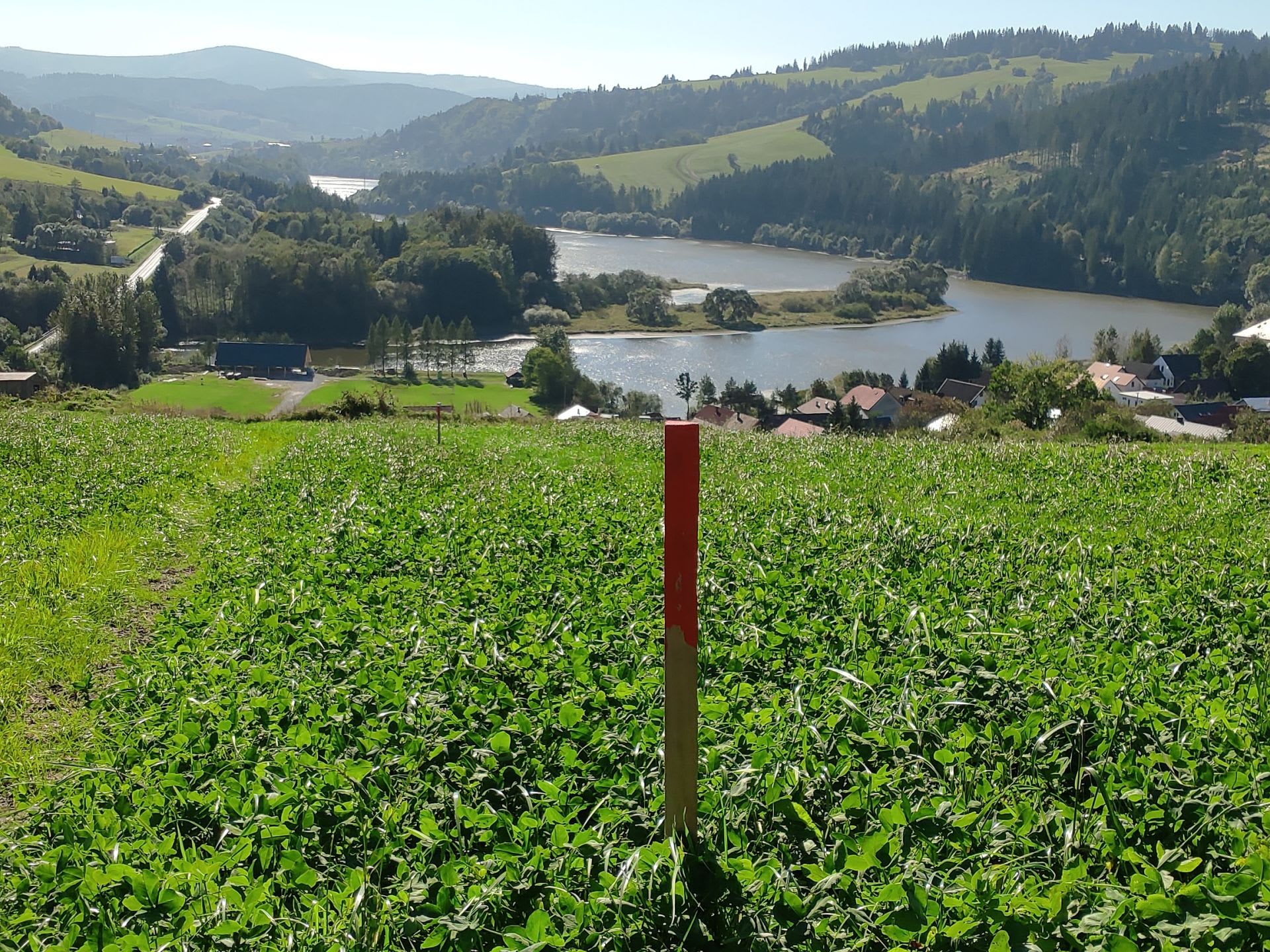 Predám slnečný pozemok v lokalite Štefanov nad Oravou