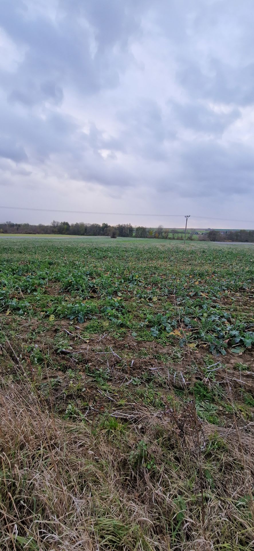 Predám investičný pozemok v lokalite Suchá nad Parnou