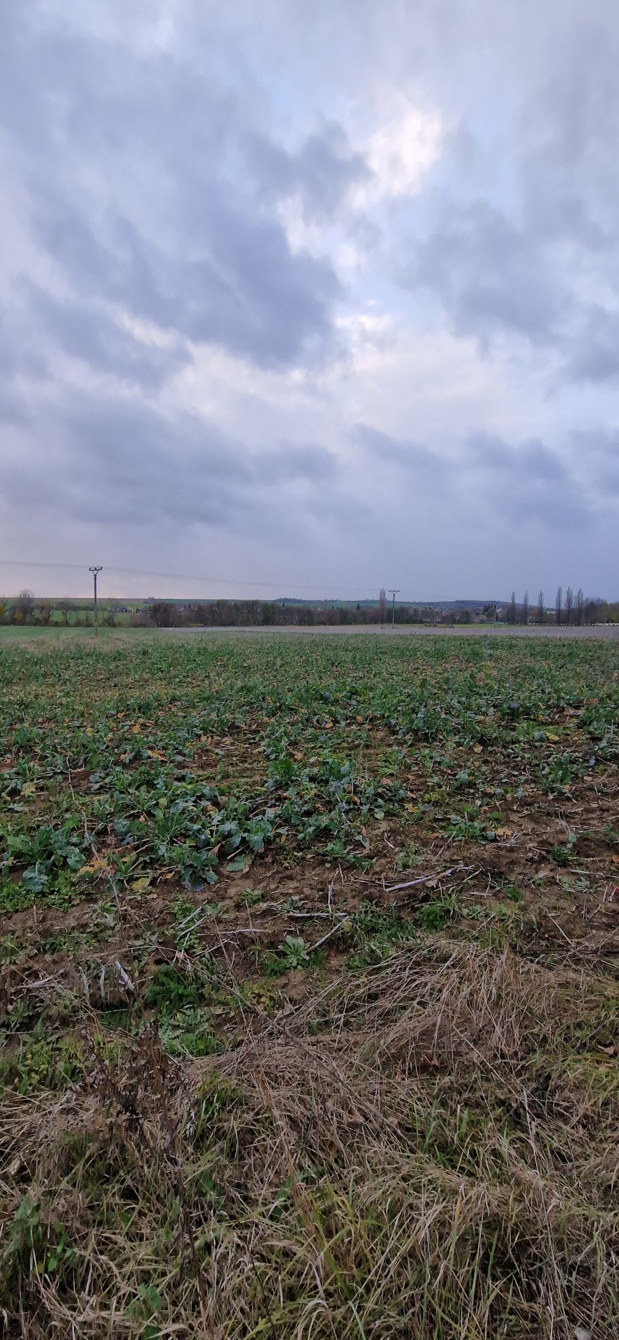 Predám investičný pozemok v lokalite Suchá nad Parnou