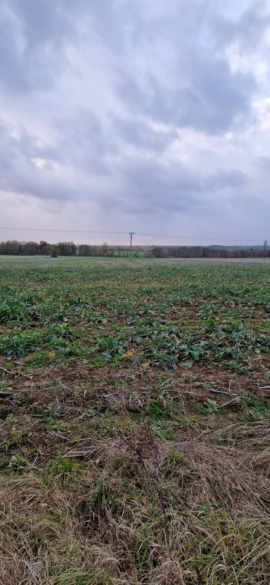 Predám investičný pozemok v lokalite Suchá nad Parnou