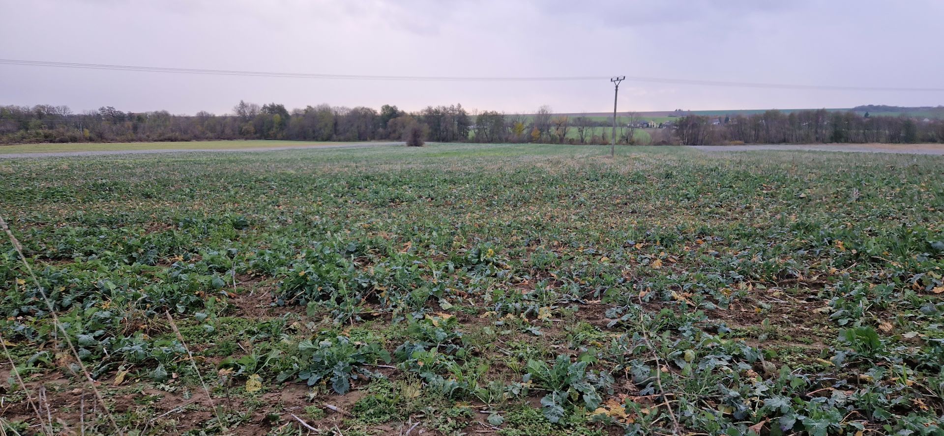 Predám investičný pozemok v lokalite Suchá nad Parnou