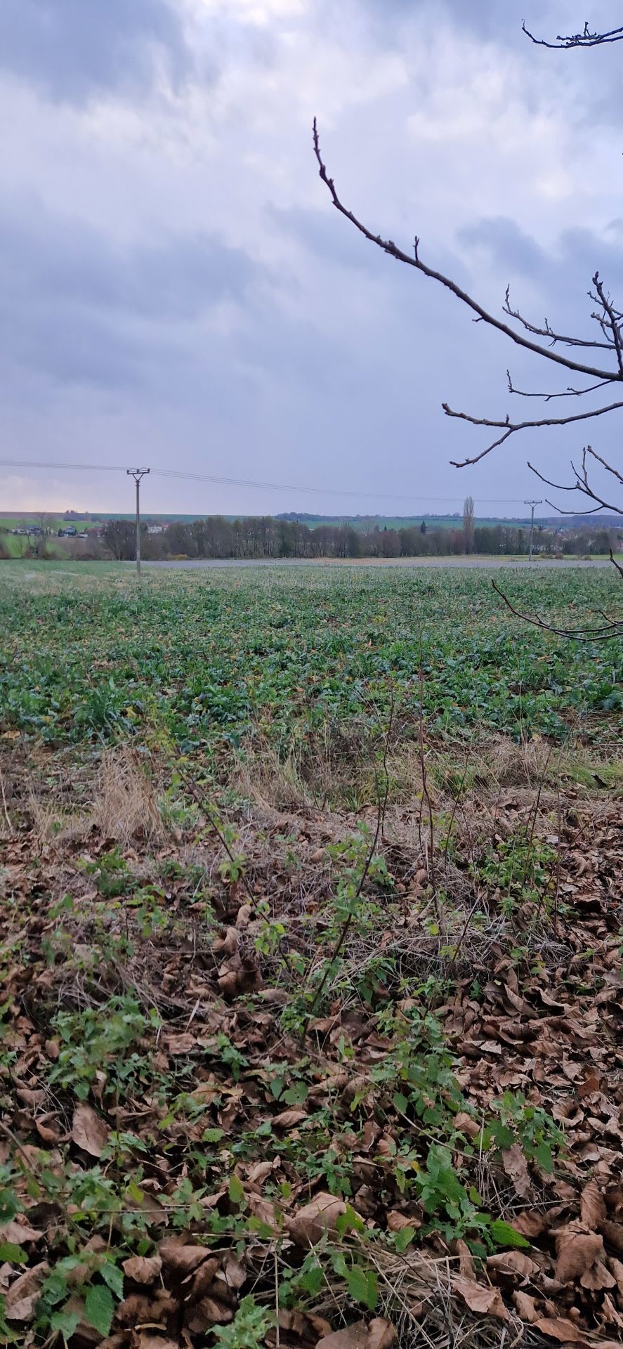 Predám investičný pozemok v lokalite Suchá nad Parnou