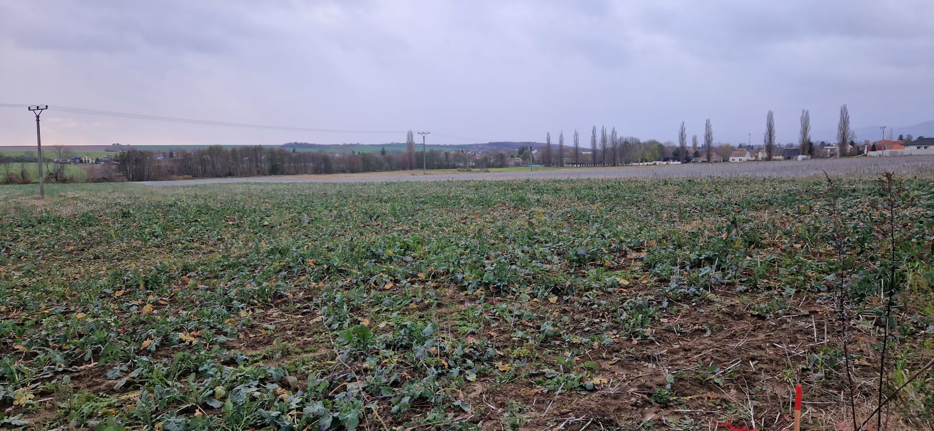 Predám investičný pozemok v lokalite Suchá nad Parnou