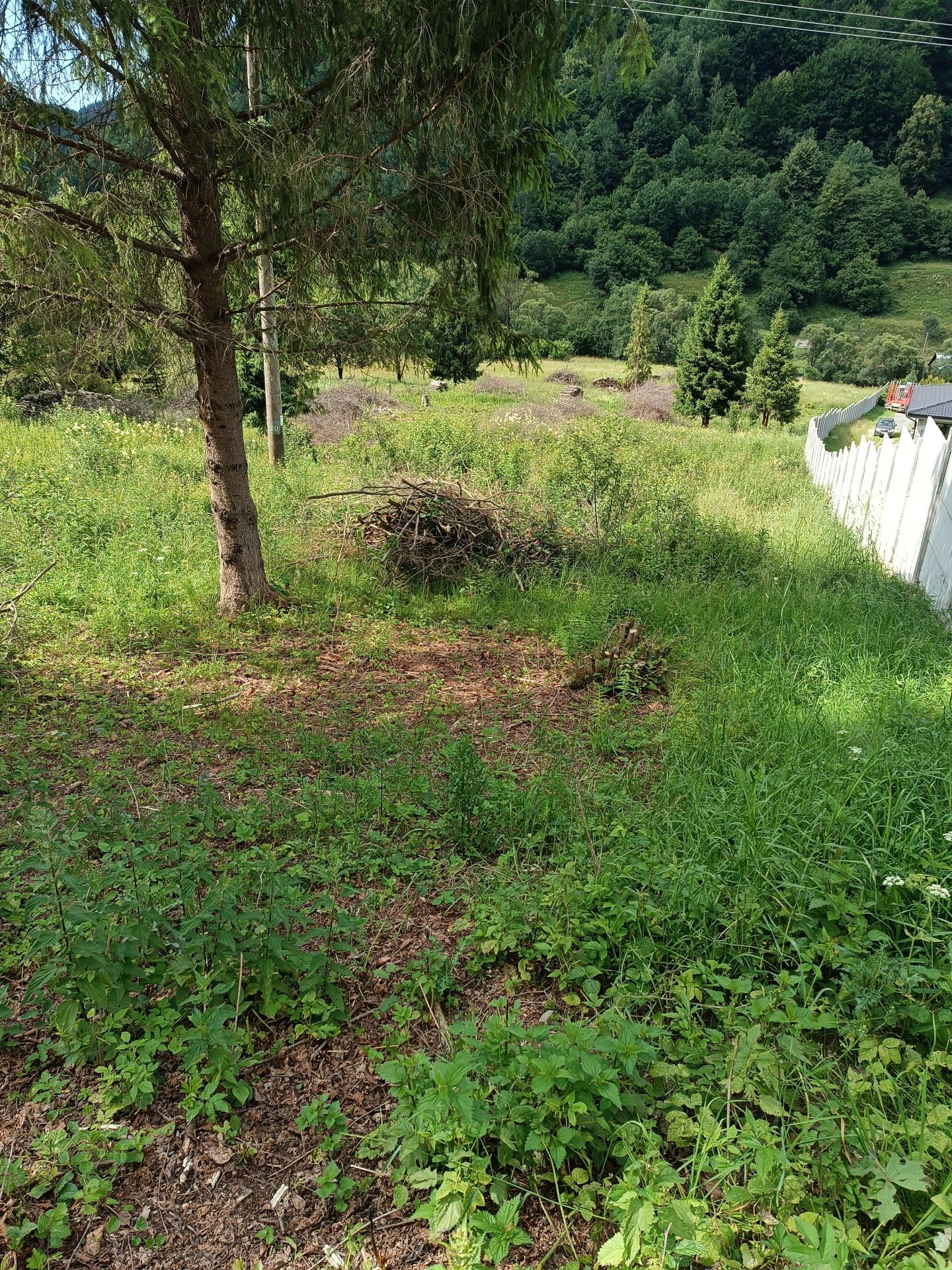 Predám slnečný pozemok v lokalite Nálepkovo