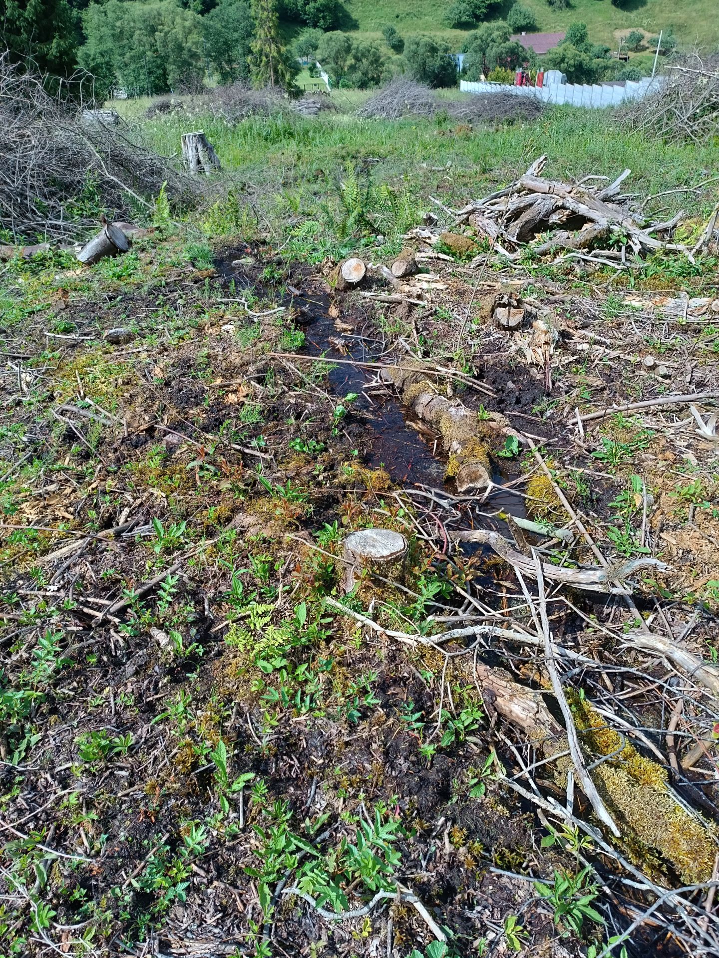 Predám slnečný pozemok v lokalite Nálepkovo