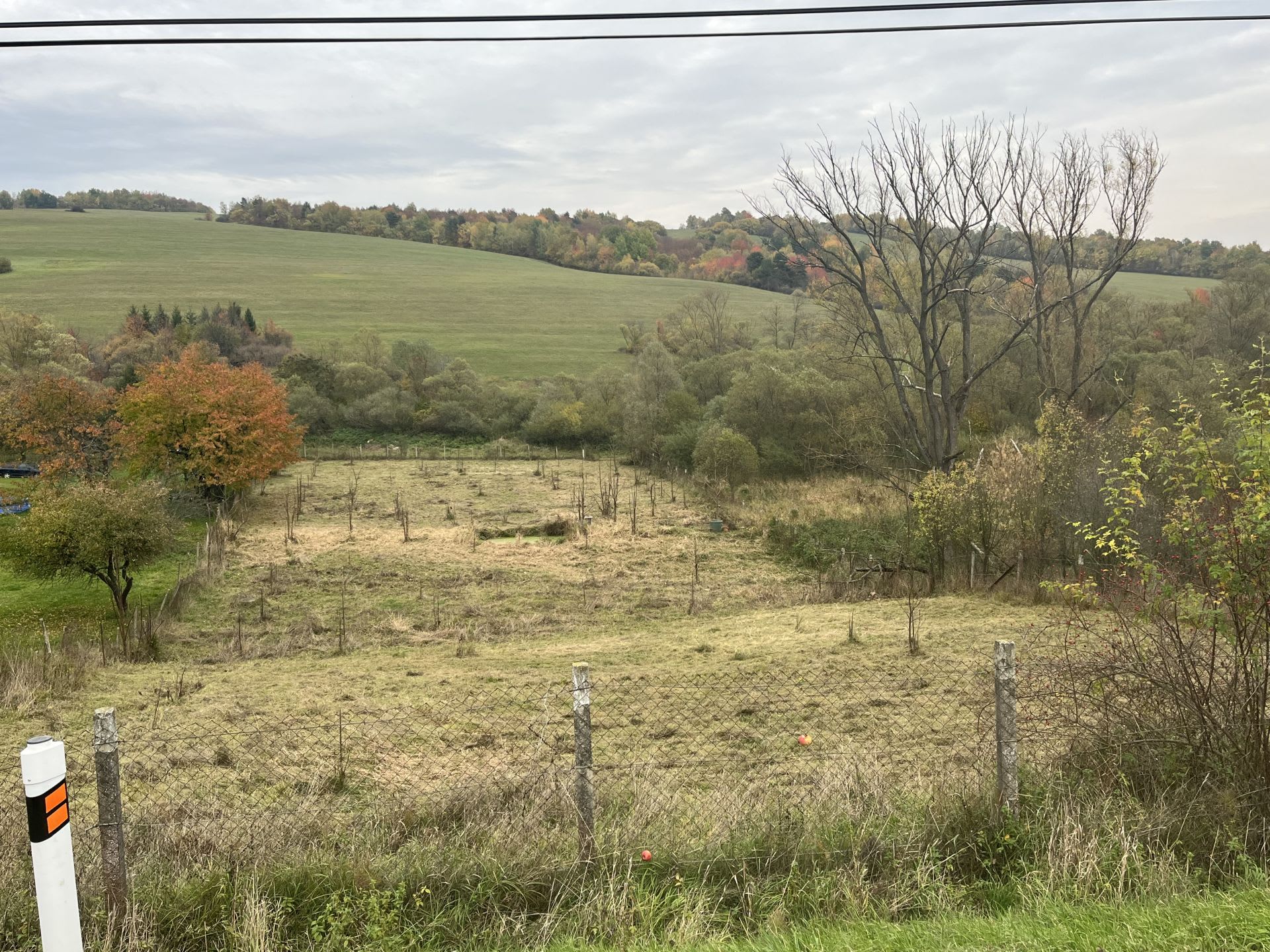 Predám obrovský pozemok v lokalite Svidnička