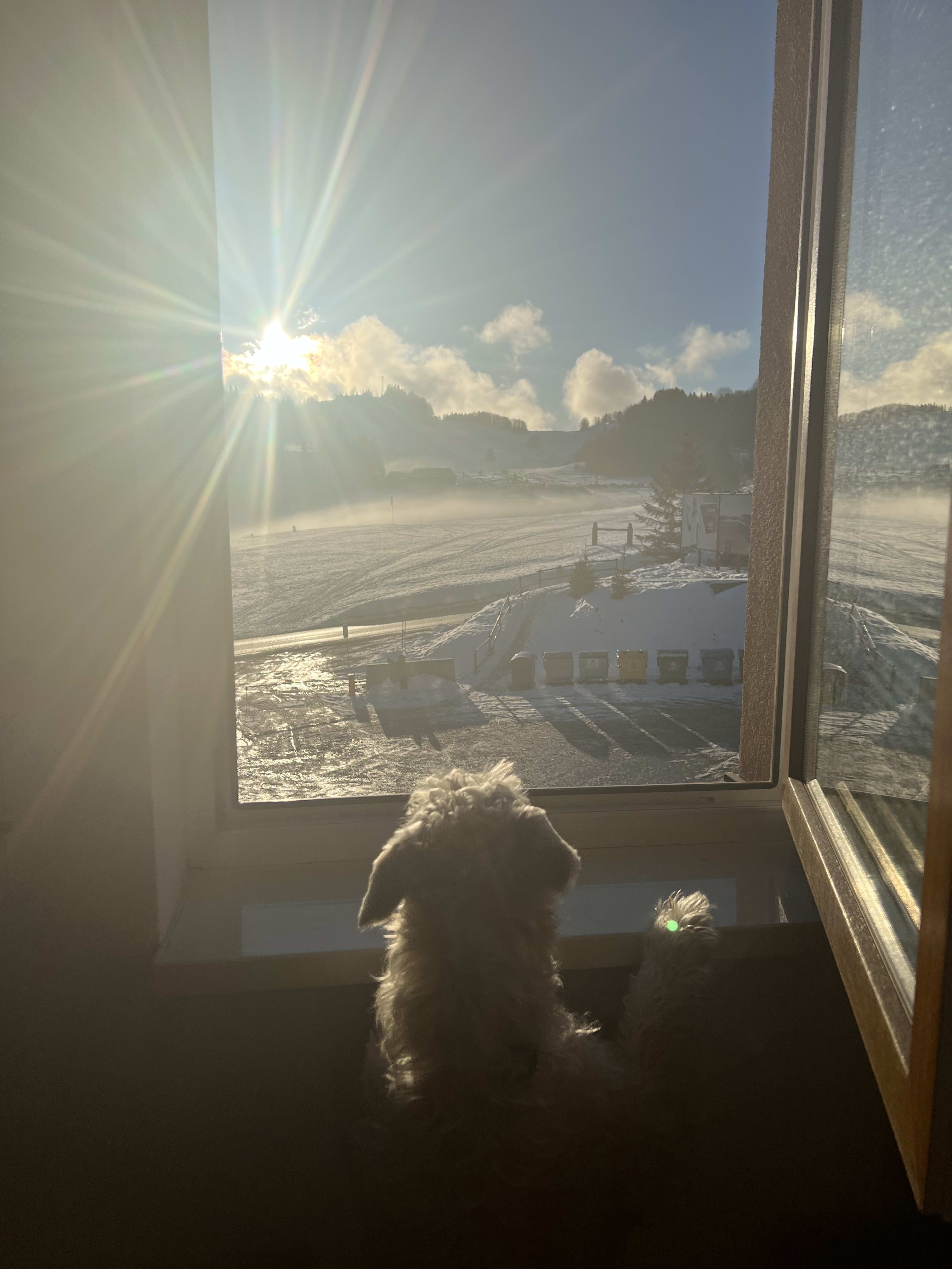 Predám slnečný byt v lokalite Donovaly