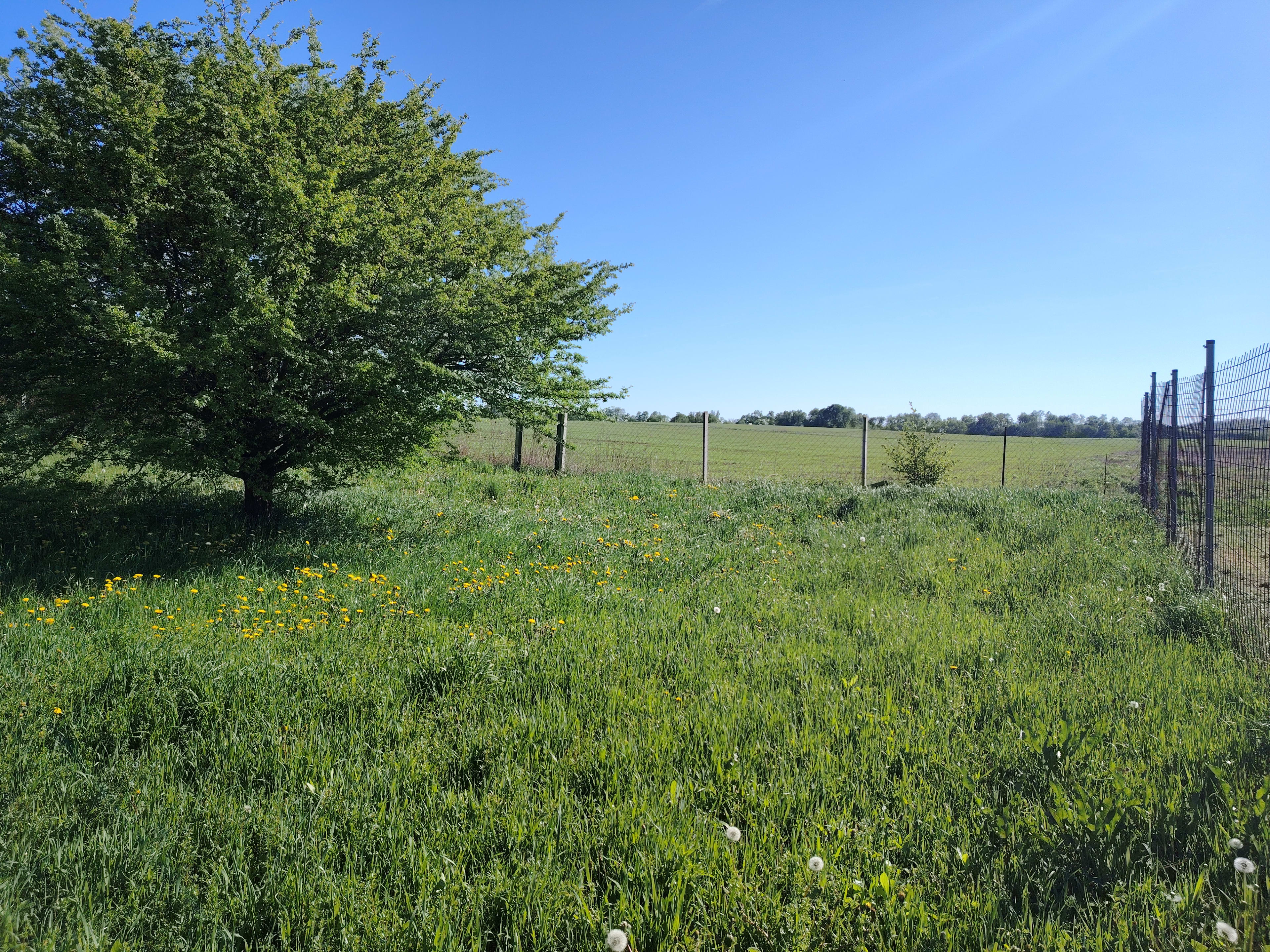 Predám slnečný pozemok v lokalite Bohdanovce