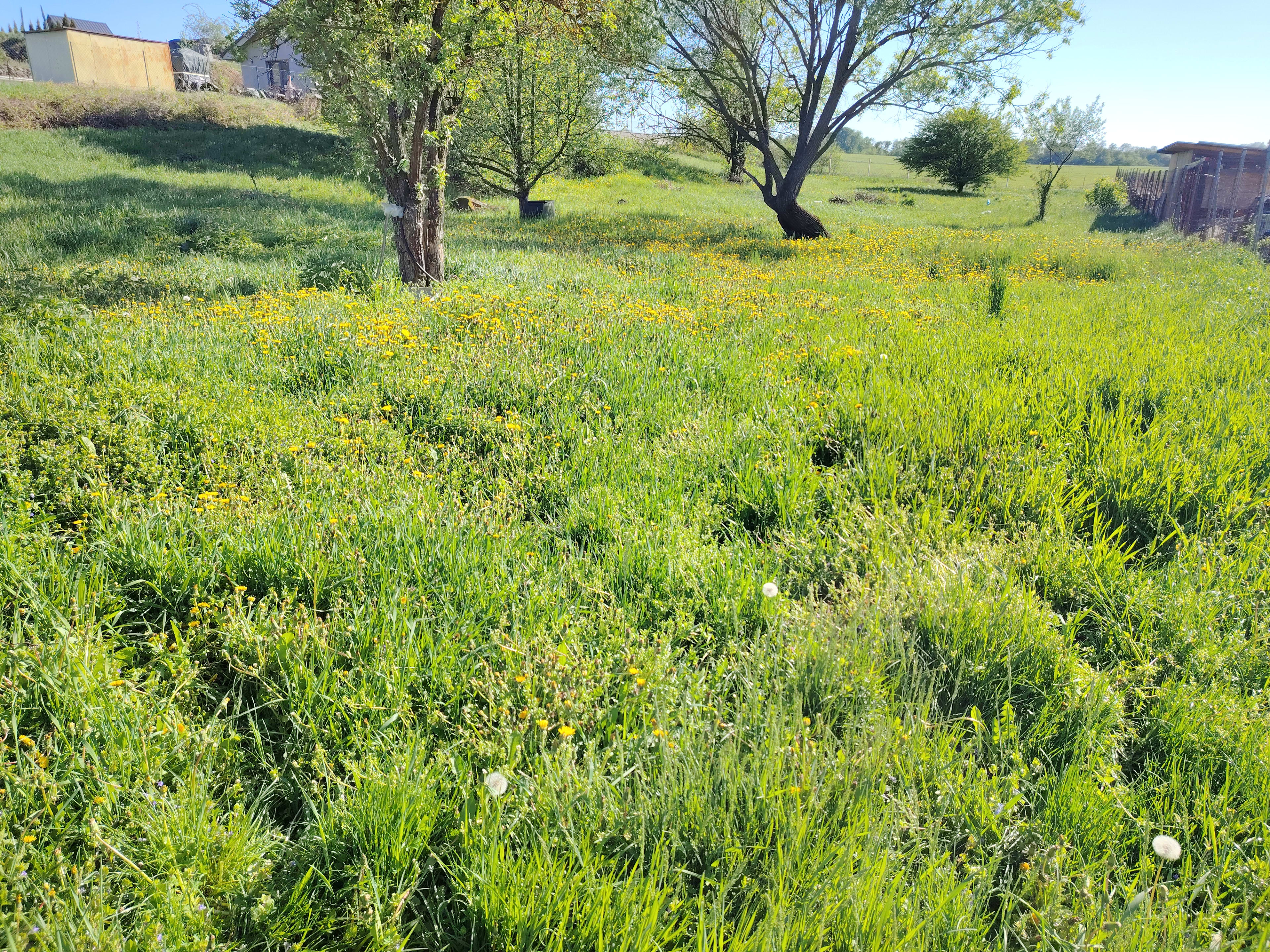 Predám slnečný pozemok v lokalite Bohdanovce