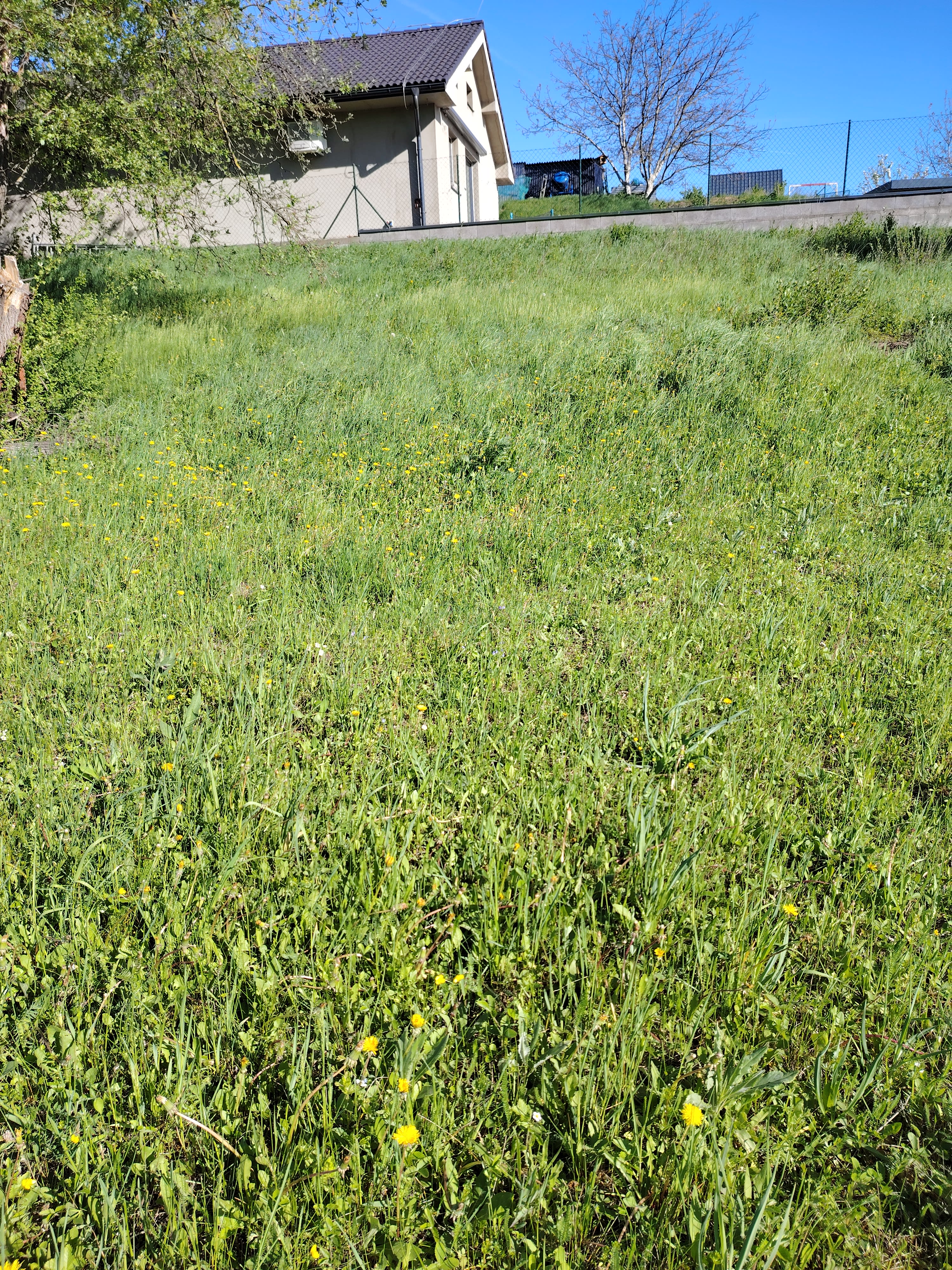 Predám slnečný pozemok v lokalite Bohdanovce