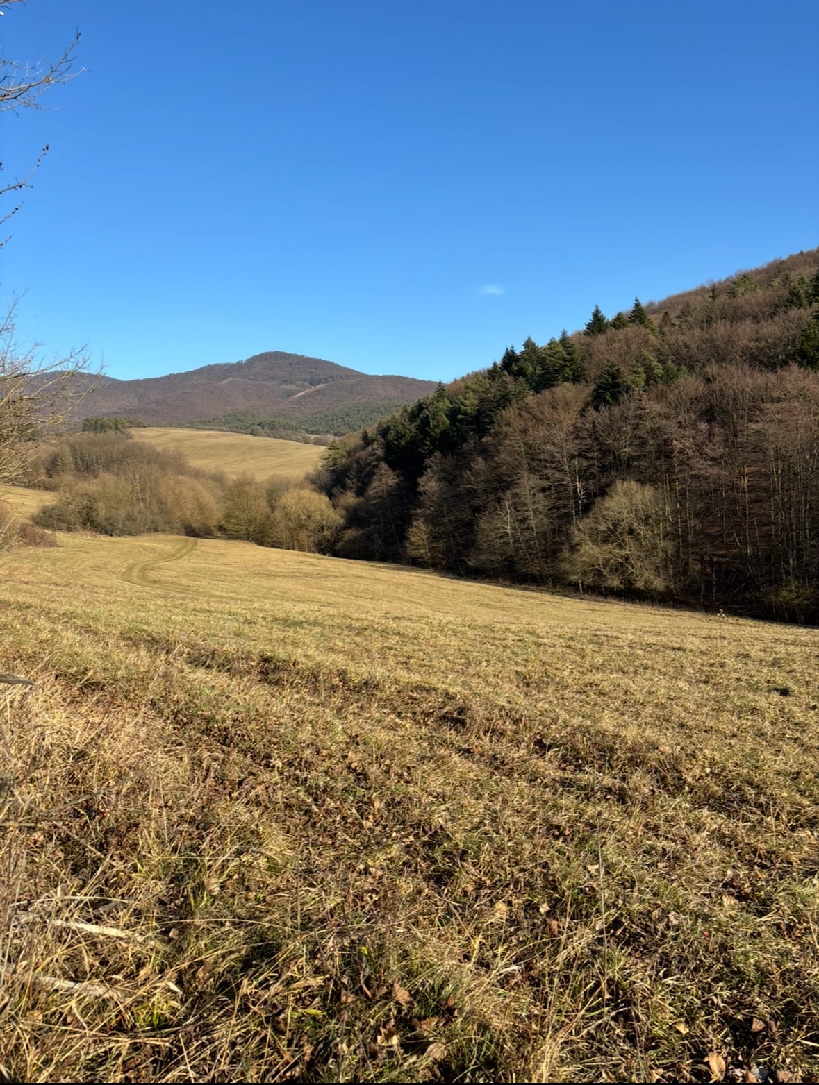 Predám slnečný pozemok v lokalite Kšinná