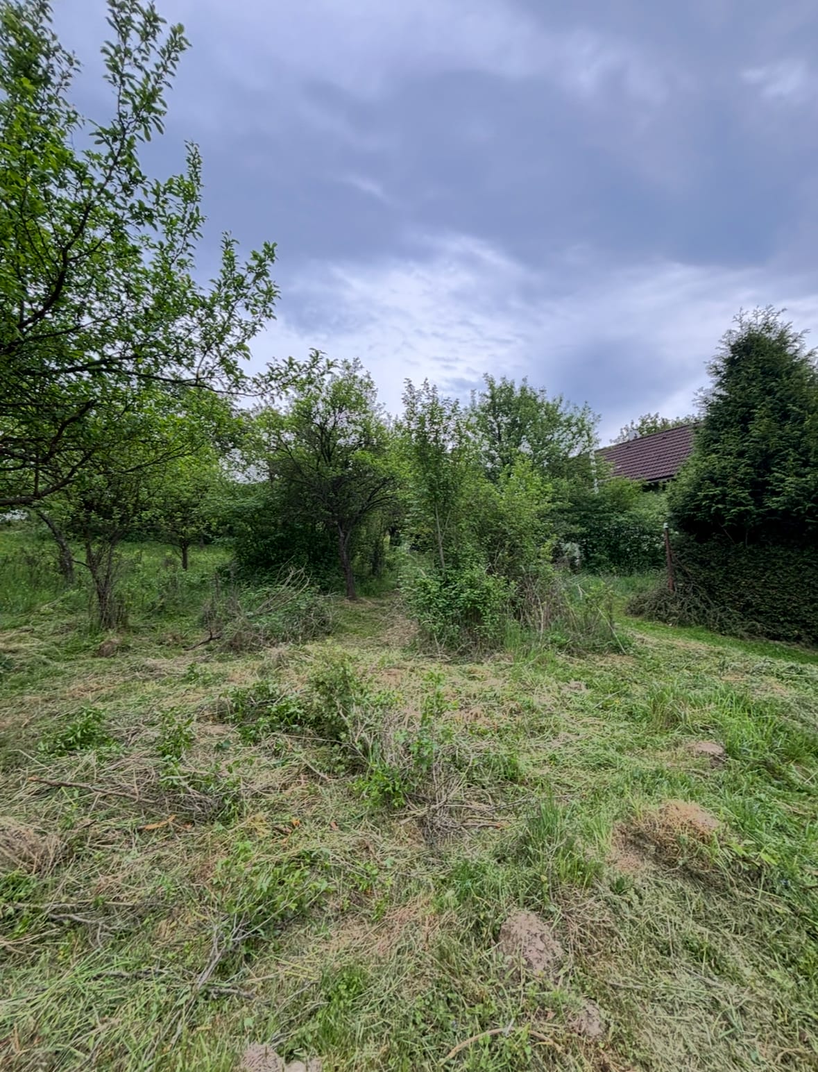 Predám slnečný pozemok v lokalite Kšinná