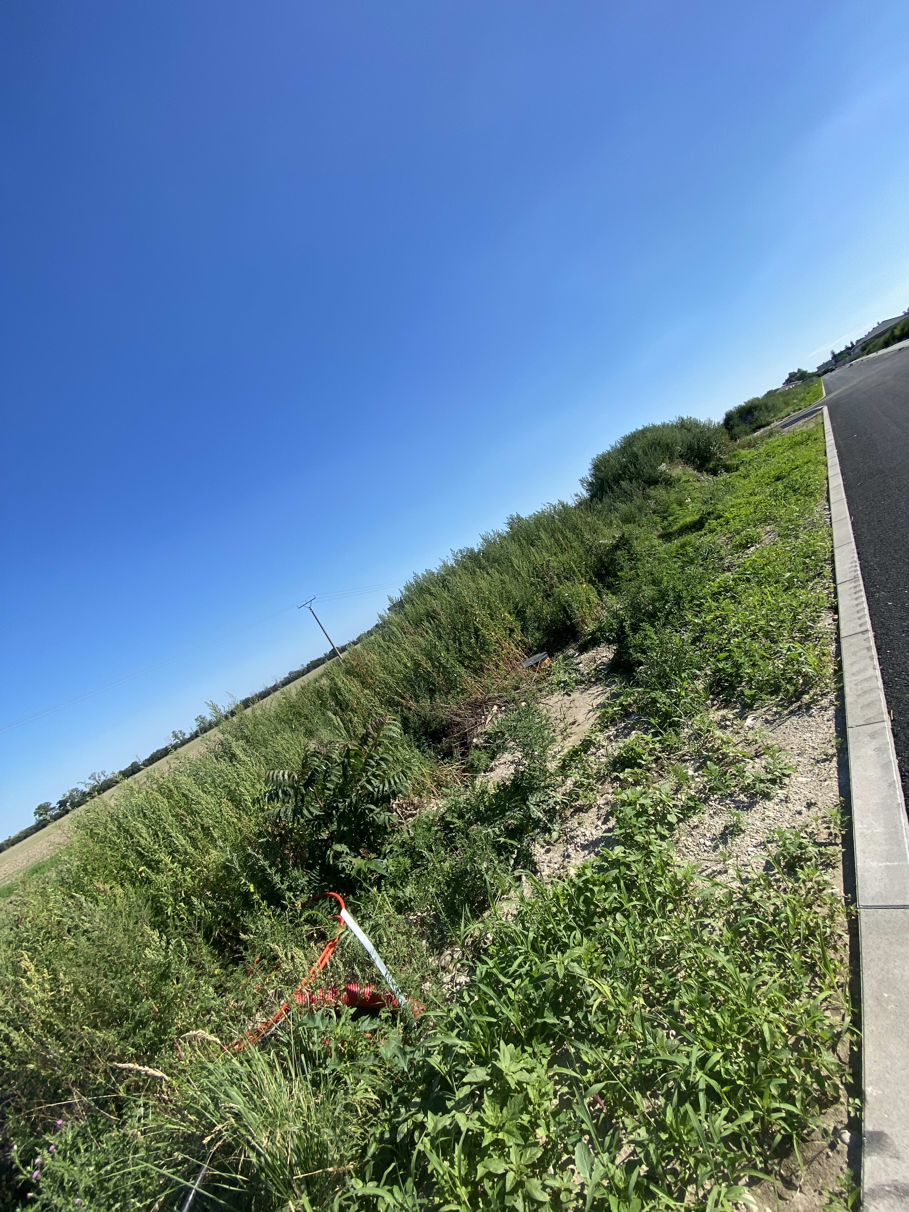 Predám slnečný pozemok v lokalite Most pri Bratislave