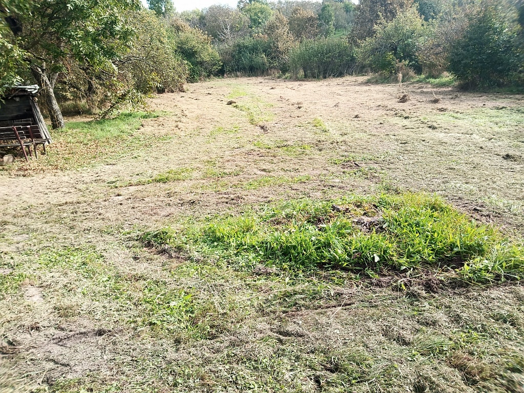 Predám Starší zachovalý dom v lokalite Nižný Hrabovec