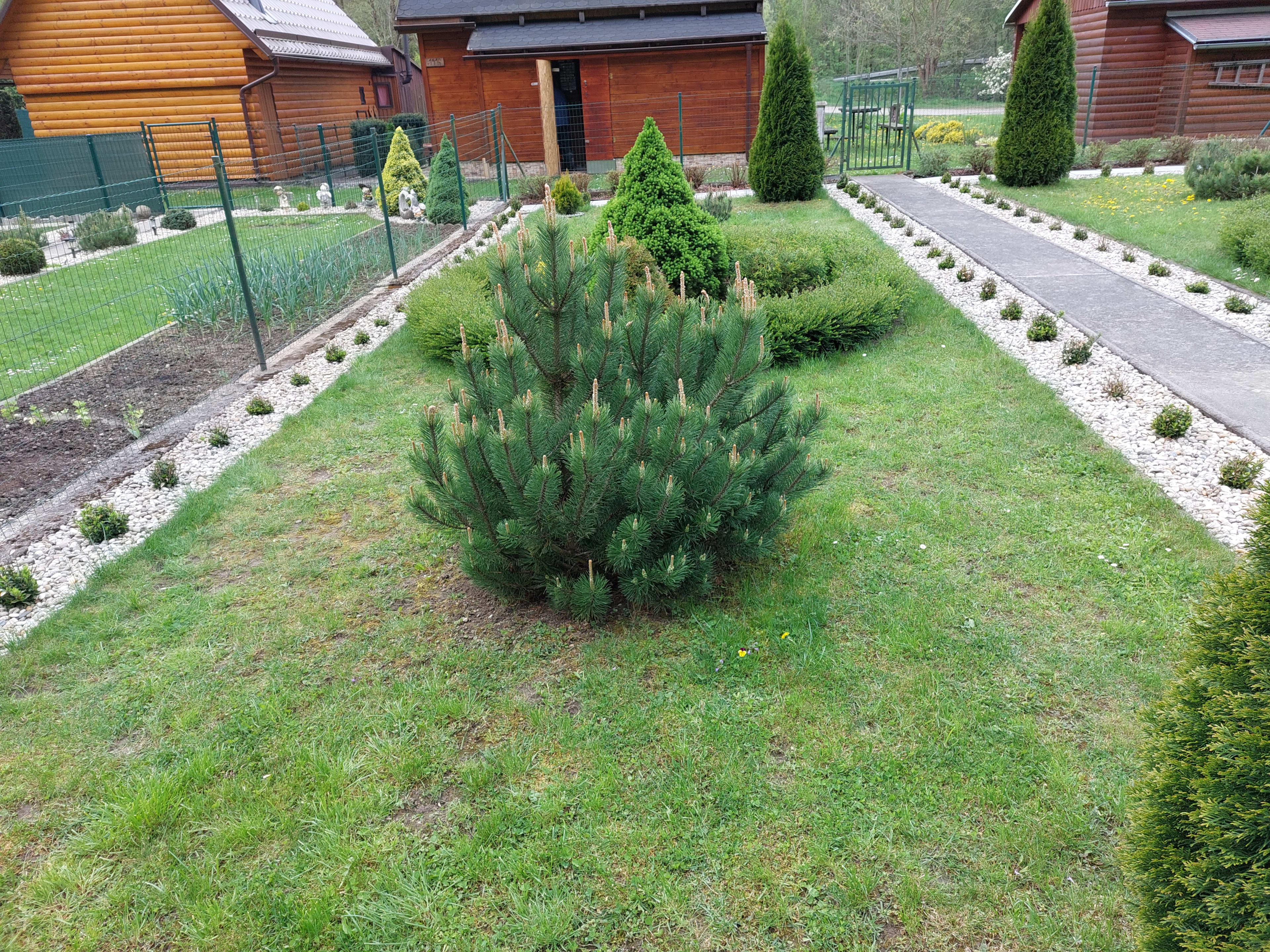 Predám rekreačnú chatku a pozemok v lokalite Bytča