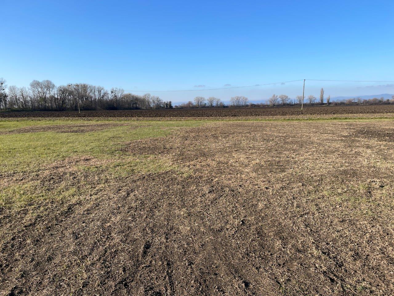 Predám úžasný pozemok v lokalite Veľký Grob