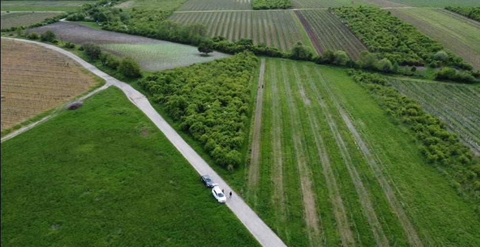 Predám slnečný pozemok v lokalite Modra