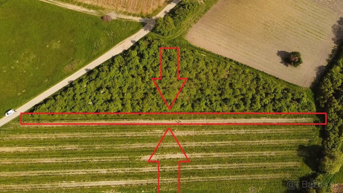 Predám slnečný pozemok v lokalite Modra