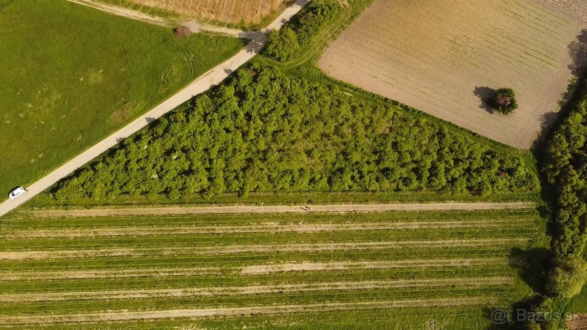 Predám slnečný pozemok v lokalite Modra