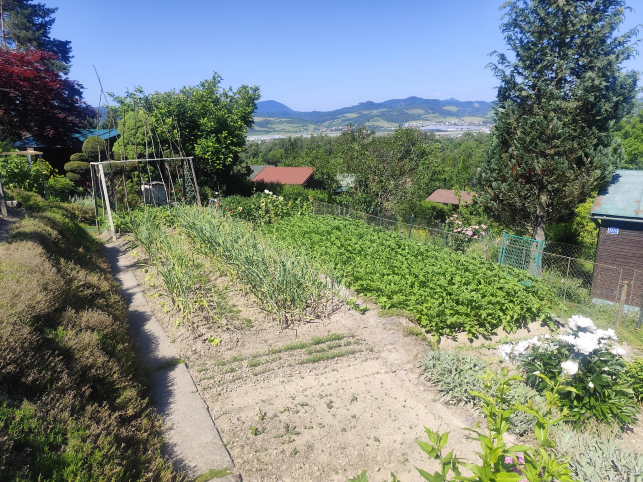 Predám Čarovný pozemok v lokalite Žilina