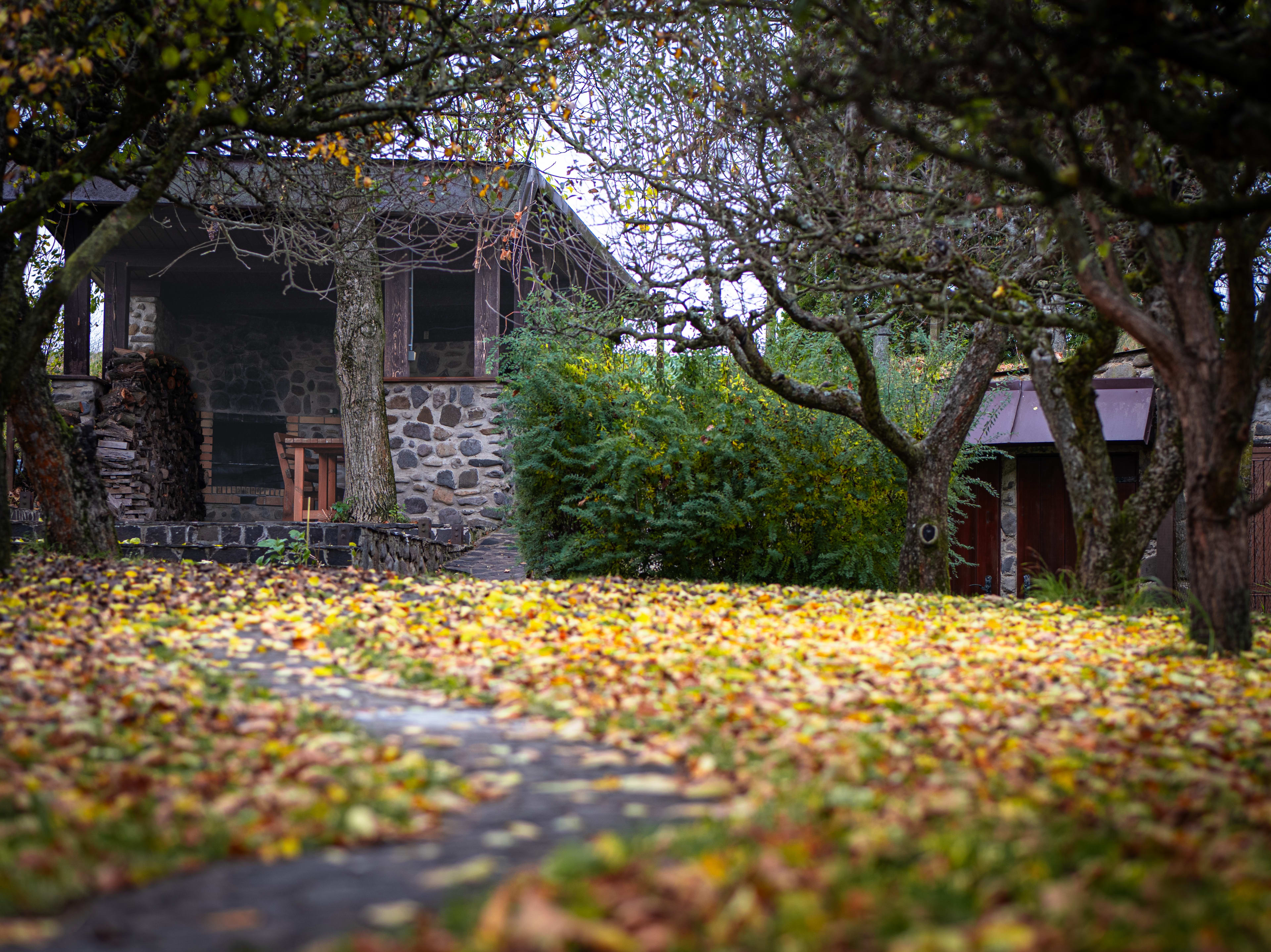 Predám Praktický dom v lokalite Hanušovce nad Topľou