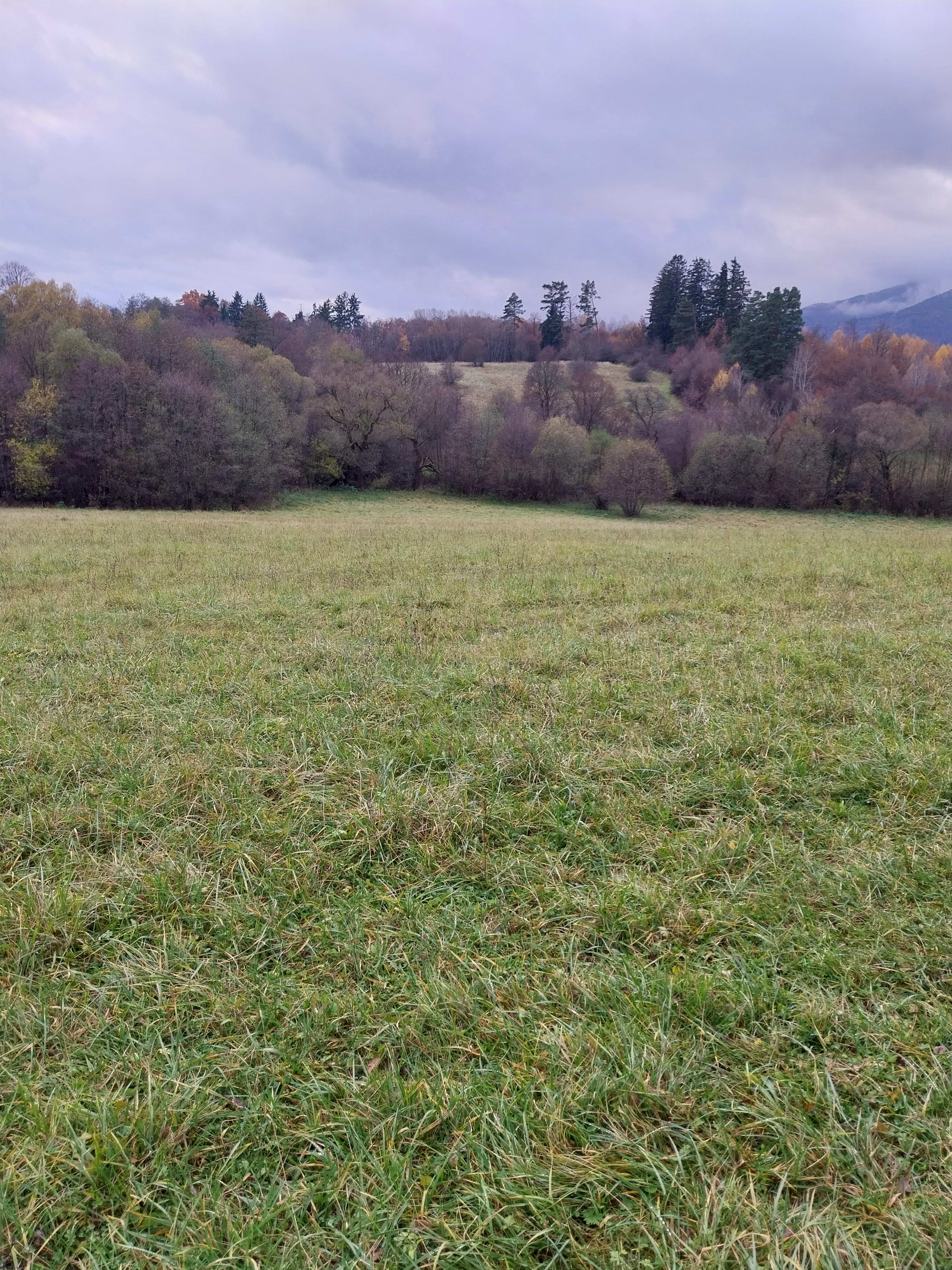 Predám slnečný pozemok v lokalite Martin