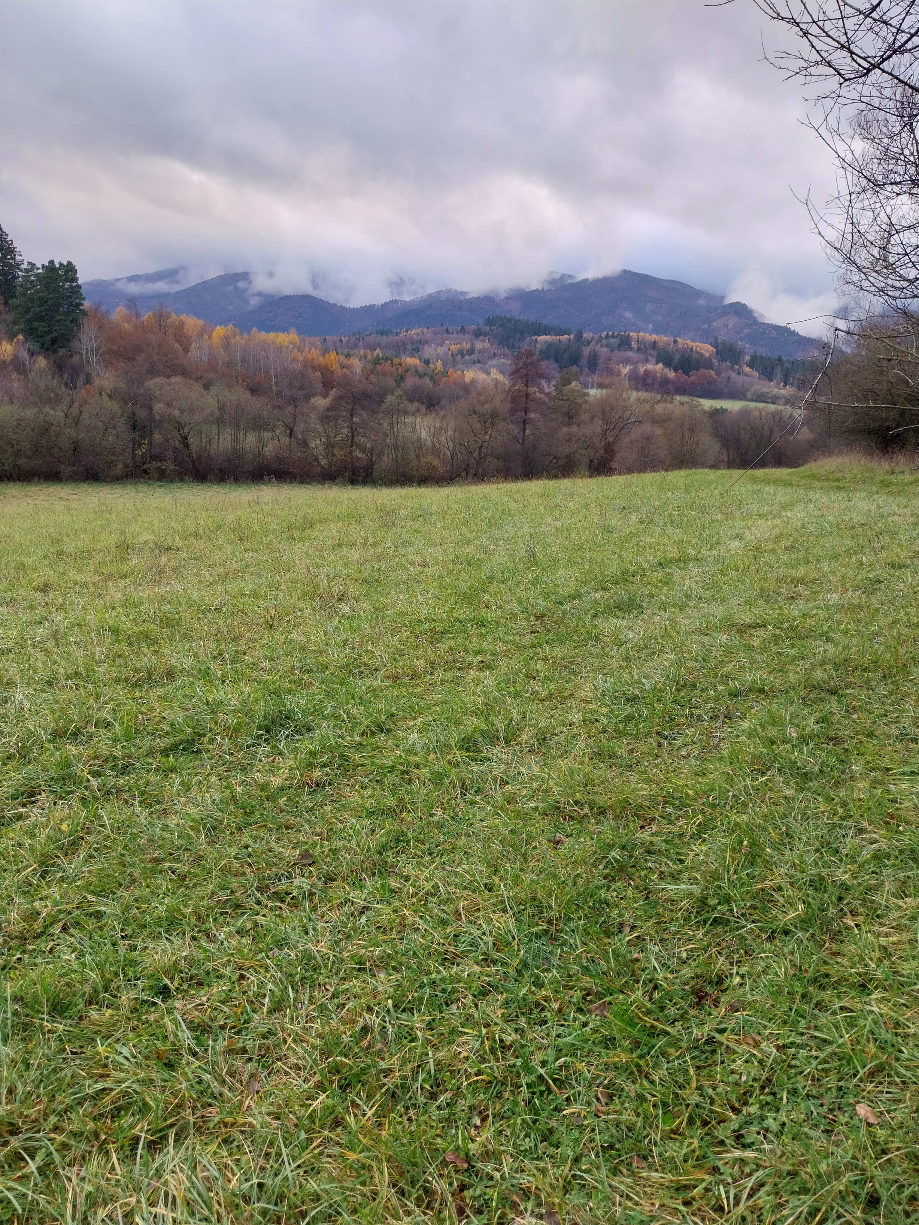 Predám slnečný pozemok v lokalite Martin