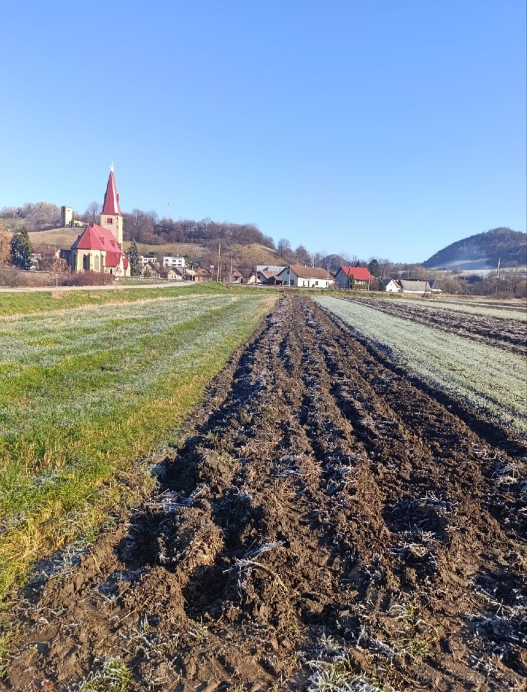 Predám slnečný pozemok v lokalite Sedliacka Dubová