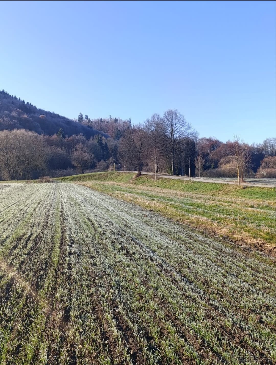 Predám slnečný pozemok v lokalite Sedliacka Dubová