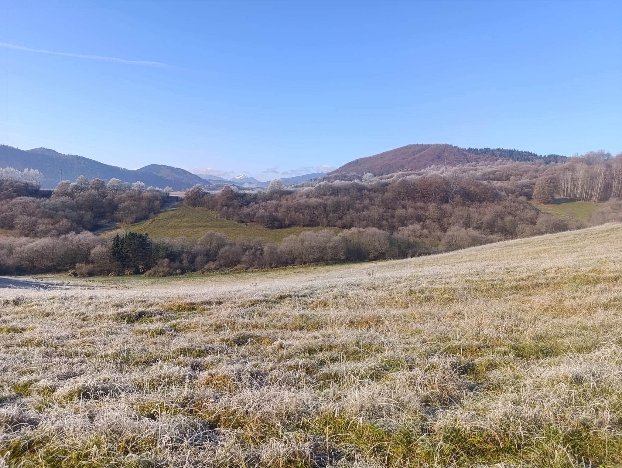 Predám slnečný pozemok v lokalite Sedliacka Dubová