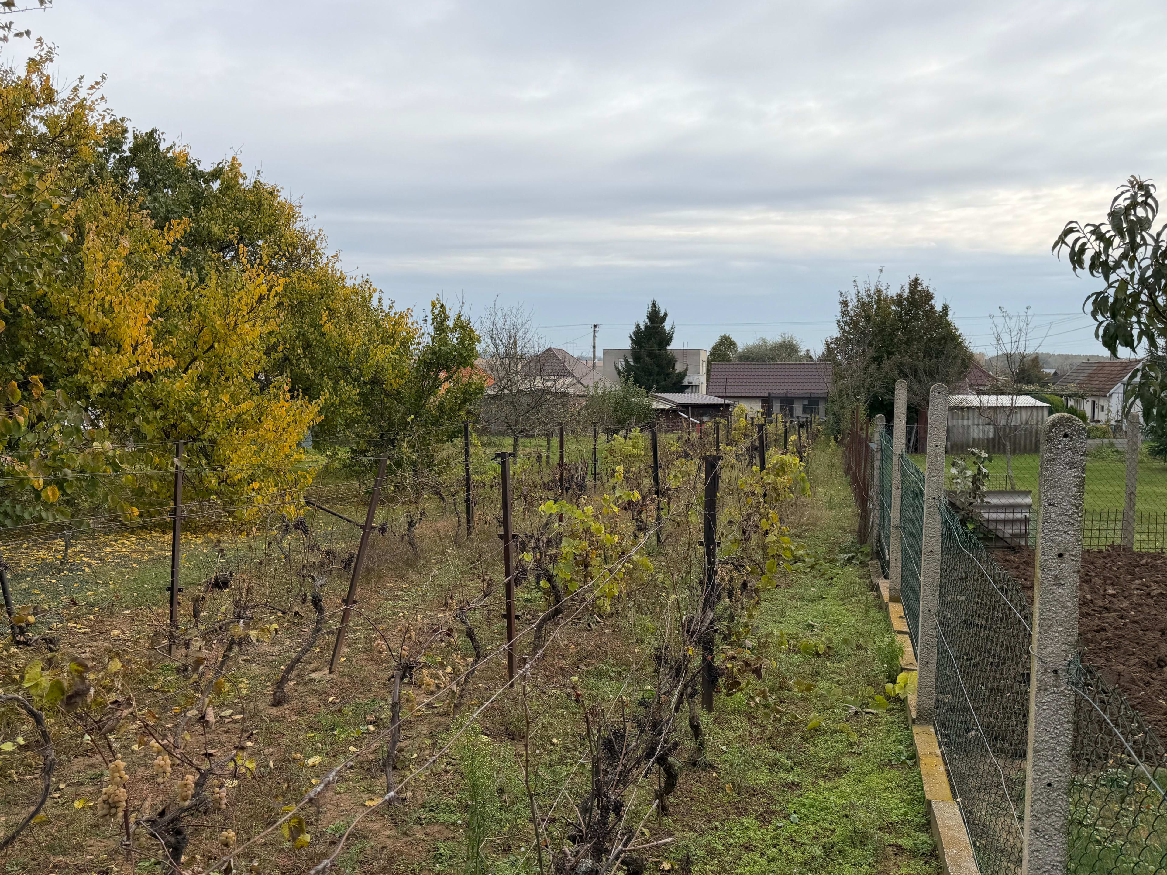 Predám Dom s pozemkom dom v lokalite Pata