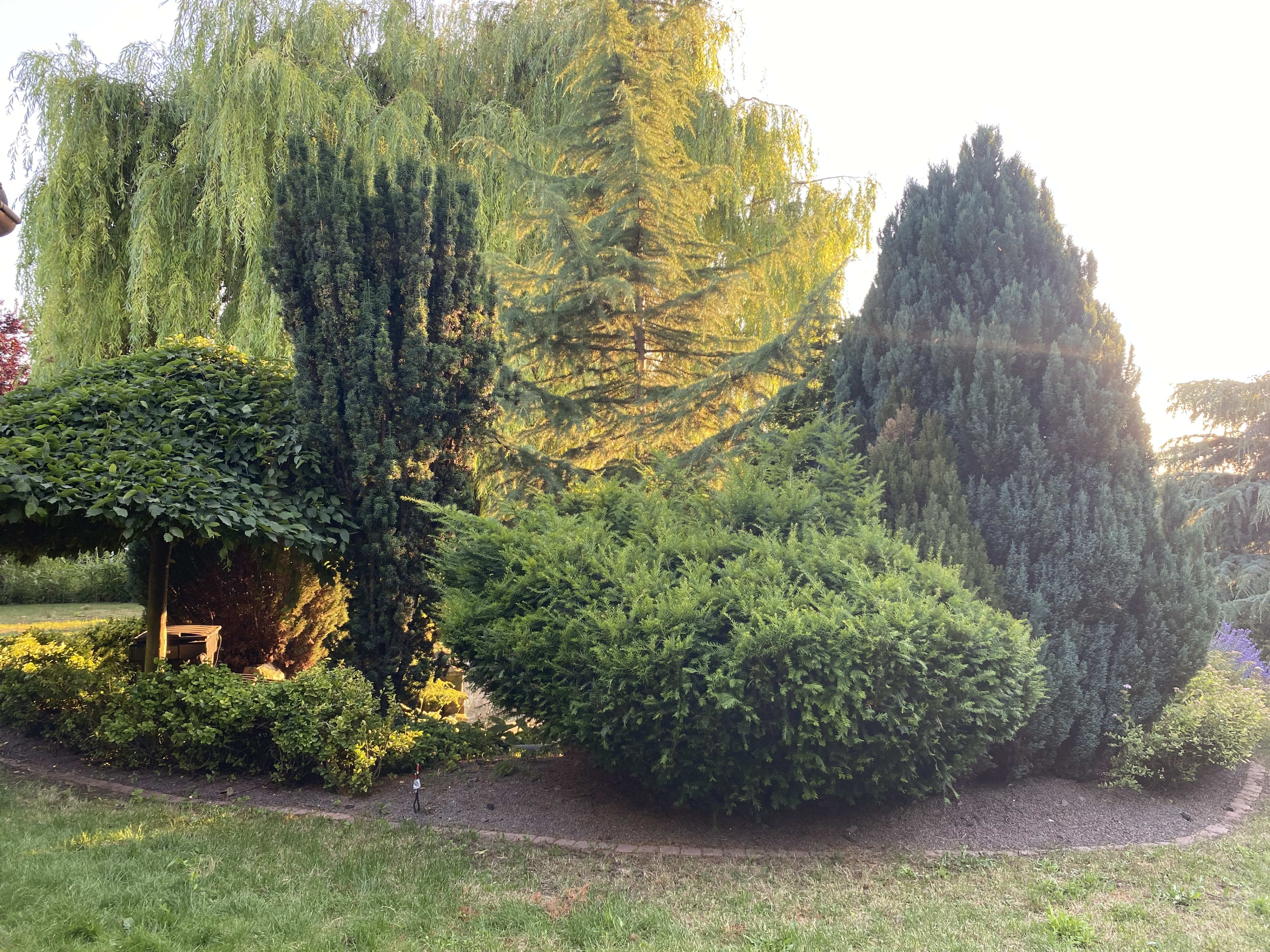 Predám úžasný dom v lokalite Žabokreky nad Nitrou