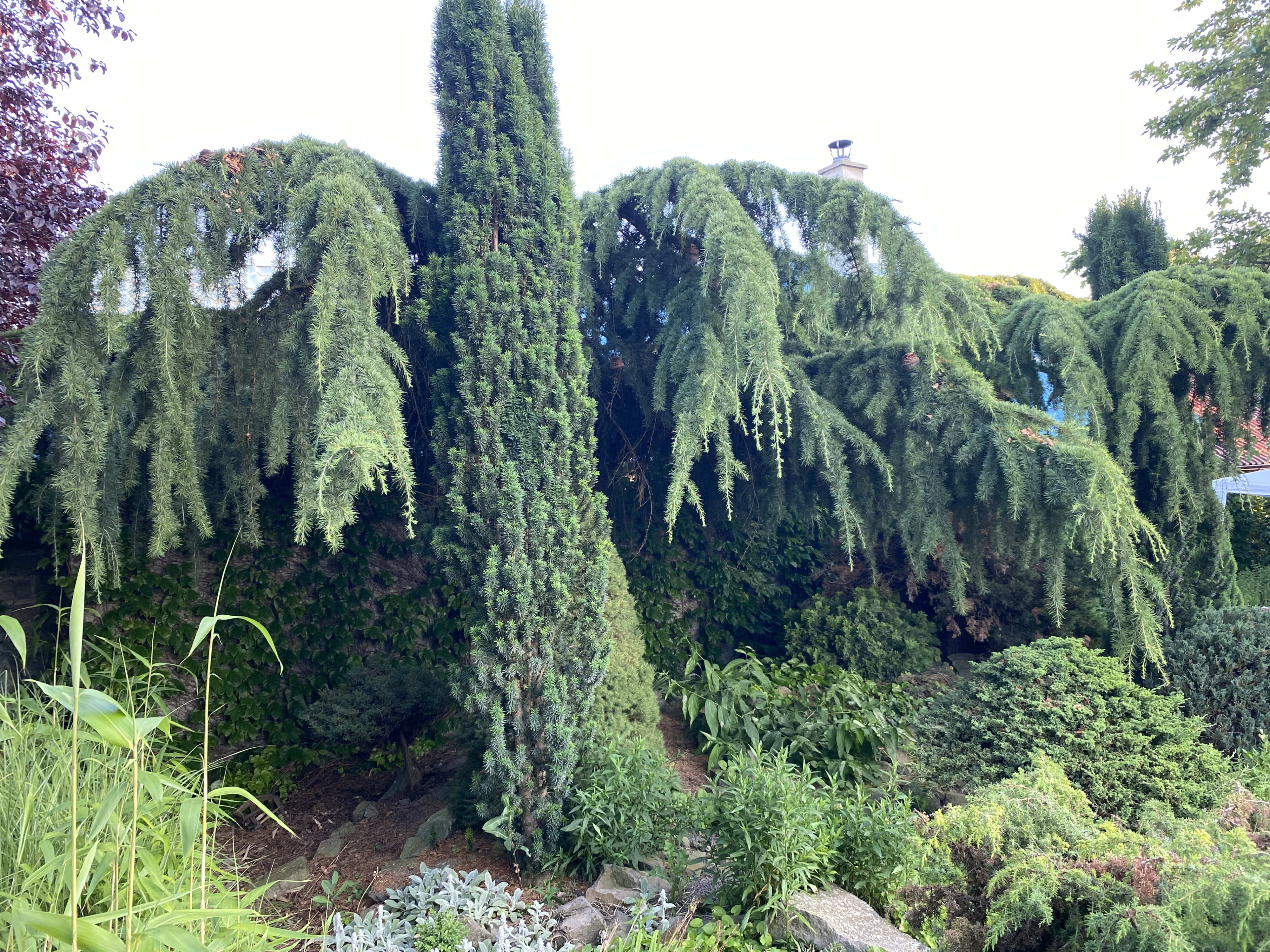 Predám úžasný dom v lokalite Žabokreky nad Nitrou