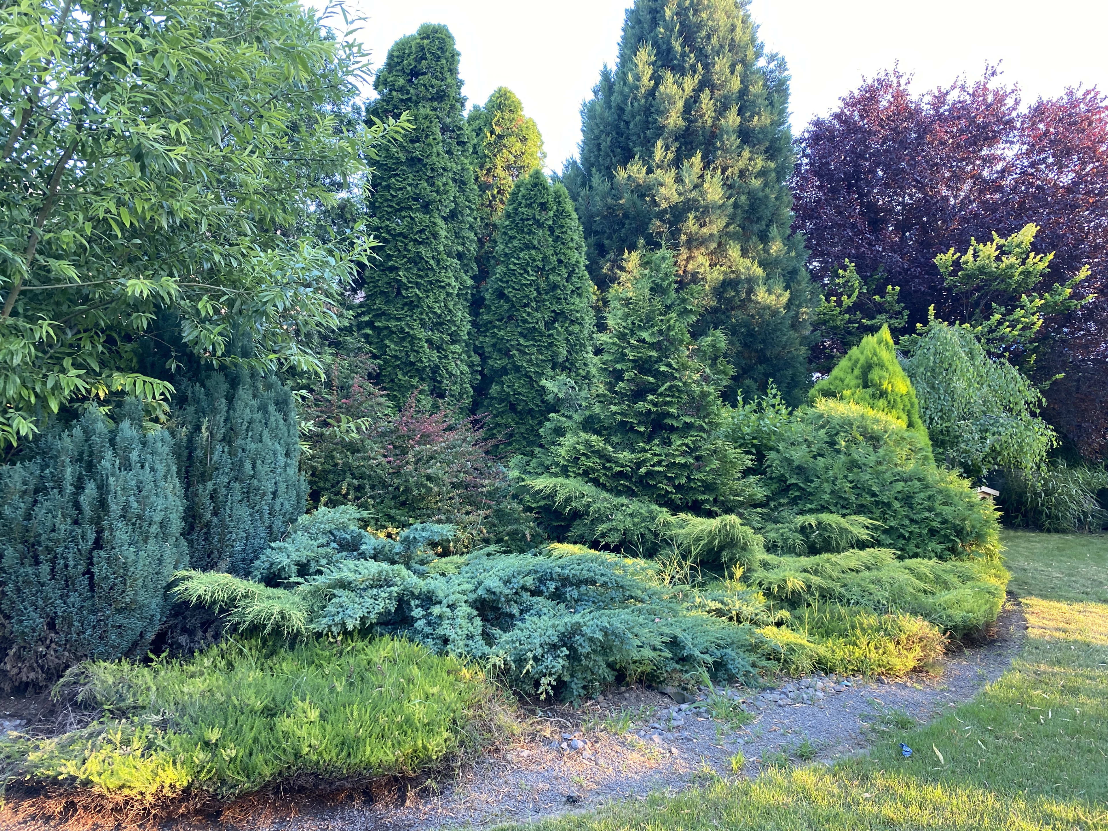 Predám úžasný dom v lokalite Žabokreky nad Nitrou