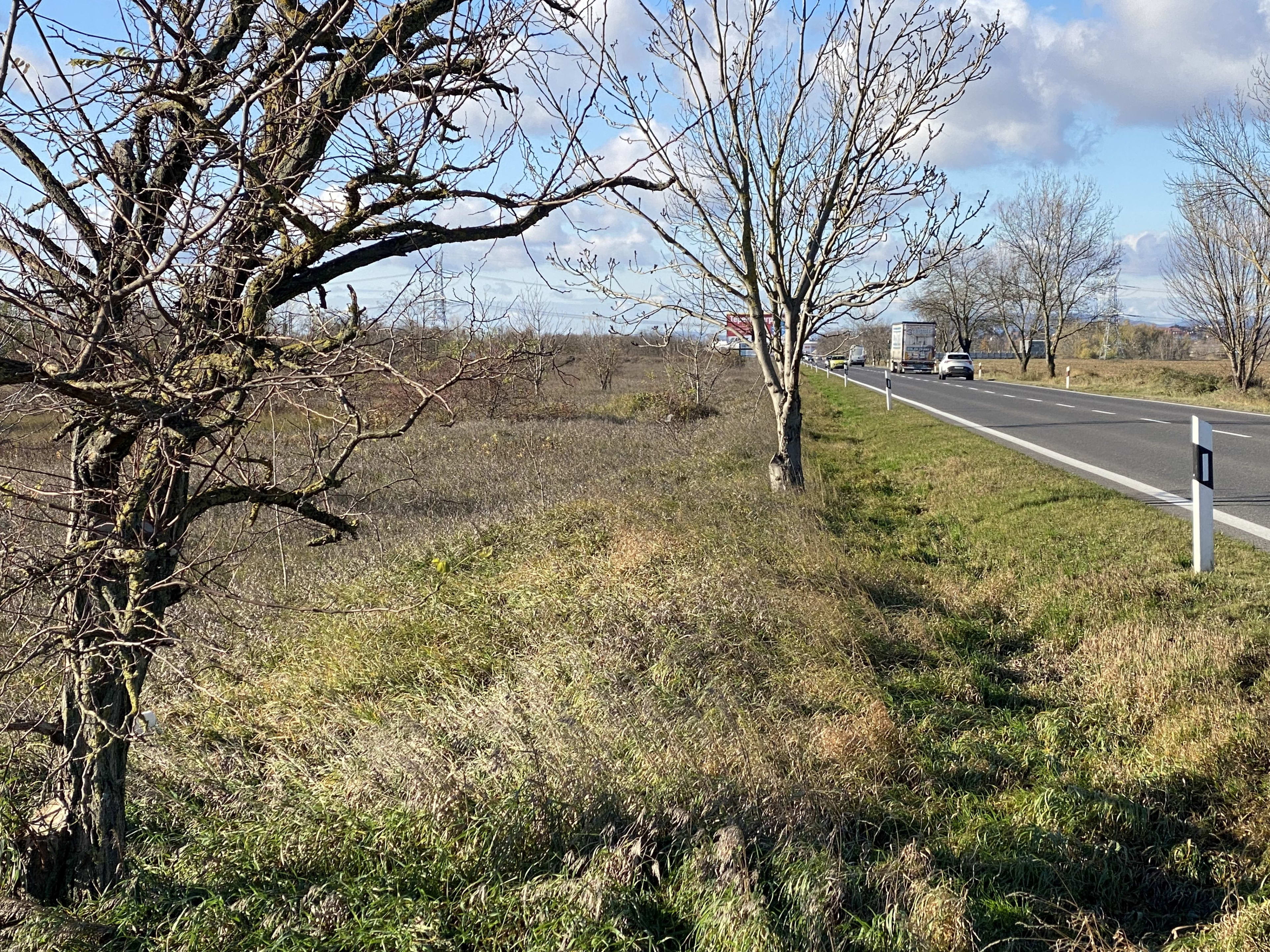 Predám slnečný pozemok v lokalite Bernolákovo