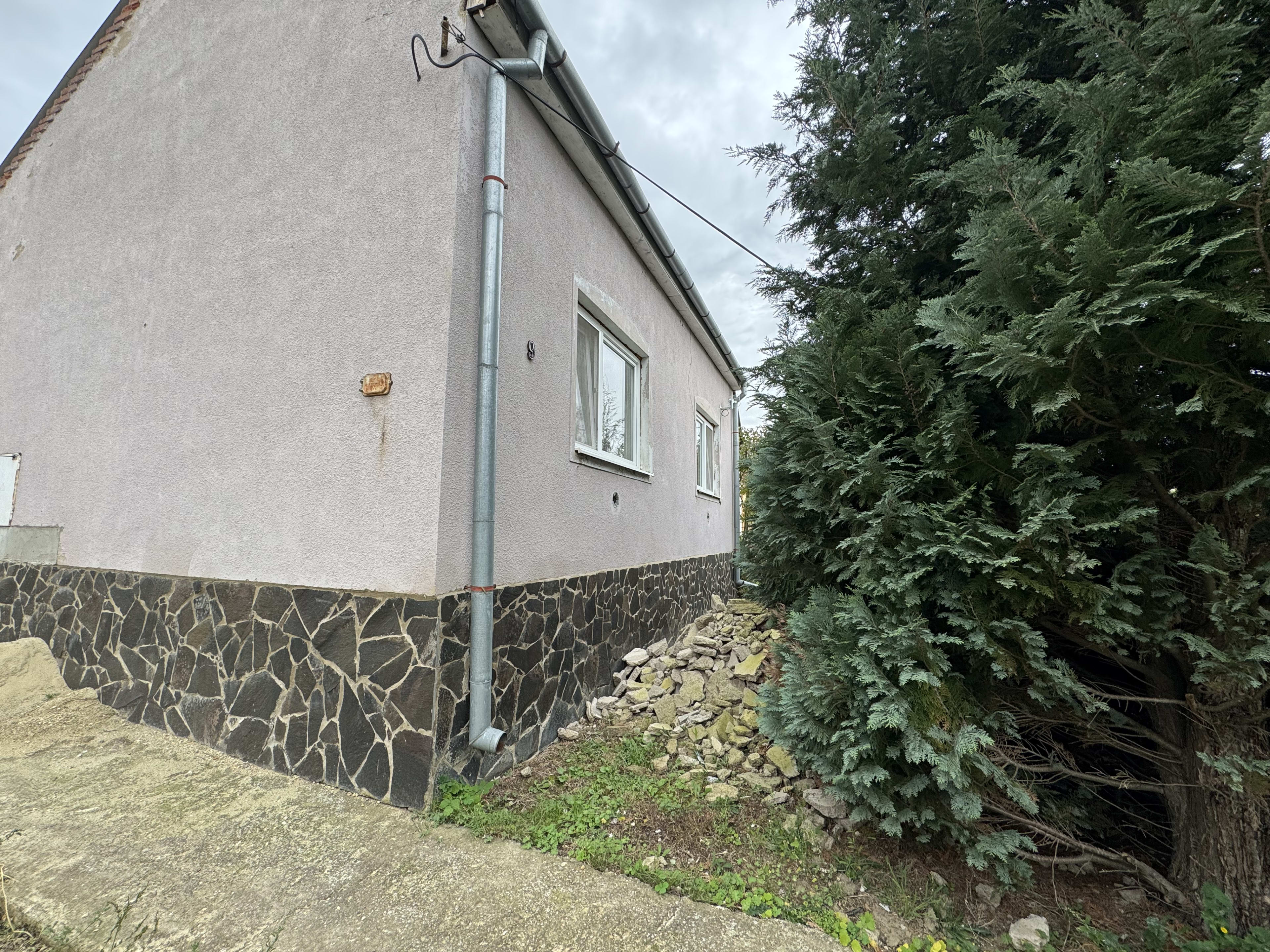 Predám obrovský dom v lokalite Zemplínsky Branč