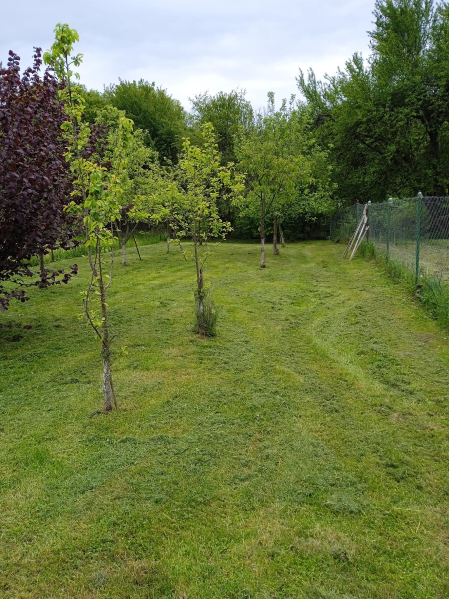 Predám  s veľkým slnečným pozem. dom v lokalite Ubľa