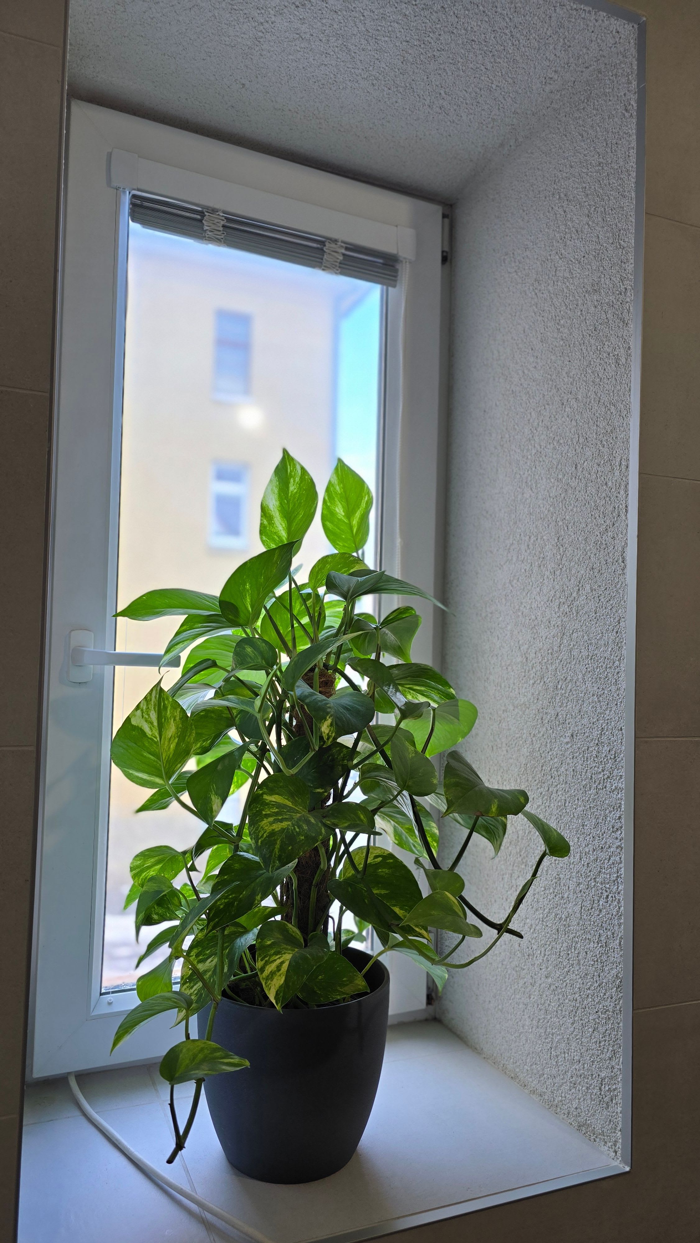 Predám moderný byt v lokalite Banská Bystrica