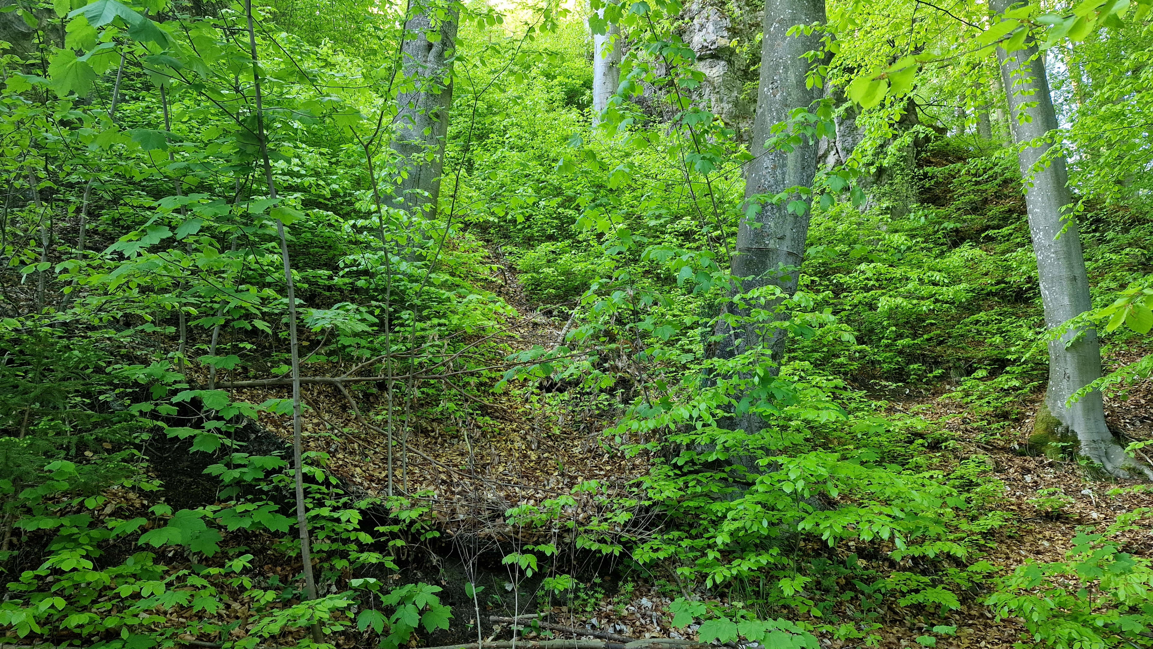 Predám slnečný pozemok v lokalite Tajov