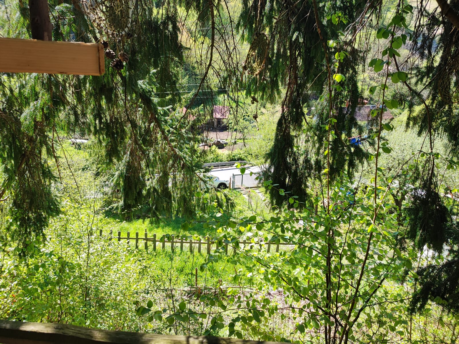 Predám slnečný pozemok v lokalite Tajov