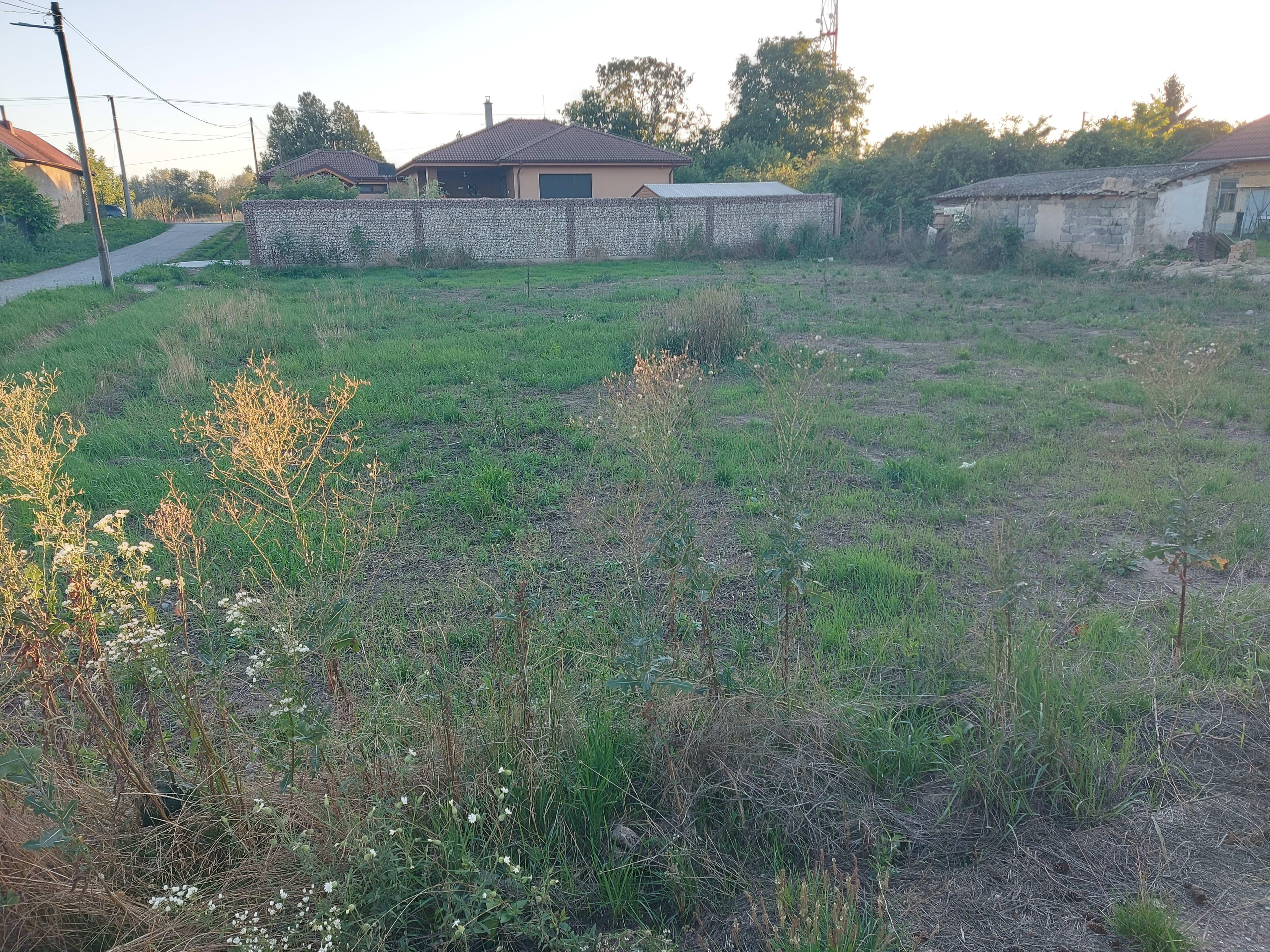 Predám Vlastný pozemok v lokalite Mužla