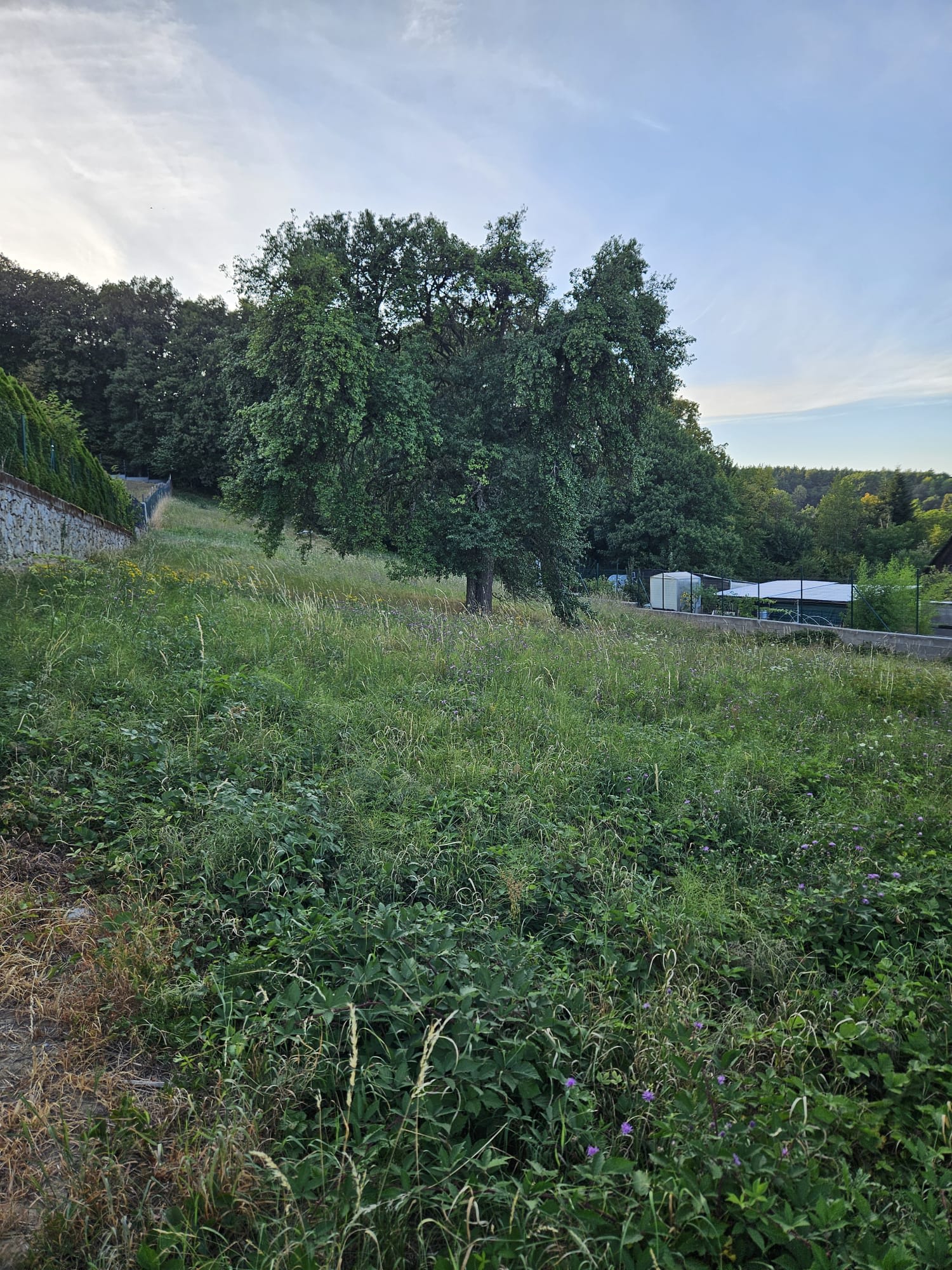 Predám 2340m2, STAVEBNÝ POZEMOK  pozemok v lokalite Dubodiel