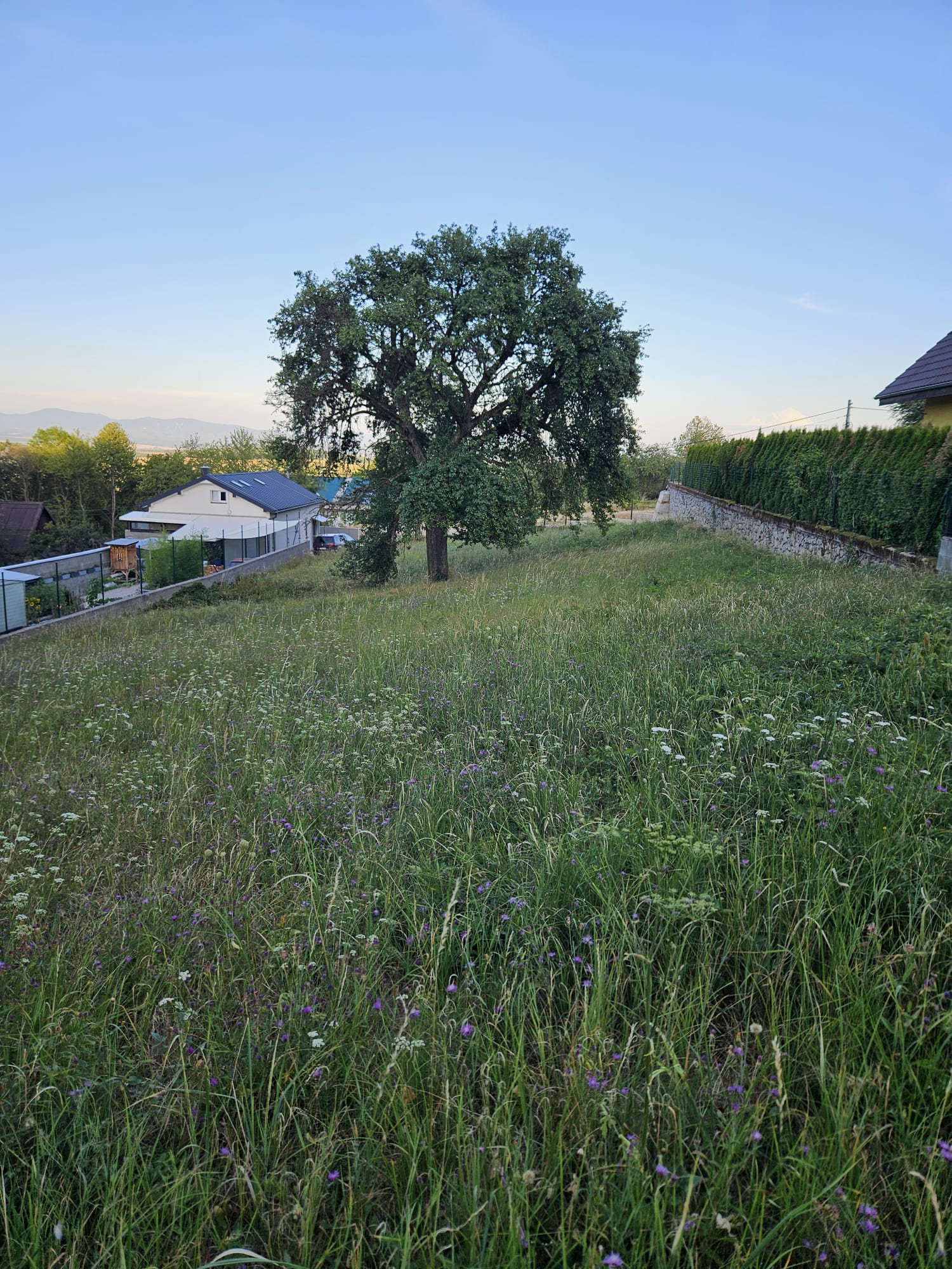 Predám 2340m2, STAVEBNÝ POZEMOK  pozemok v lokalite Dubodiel