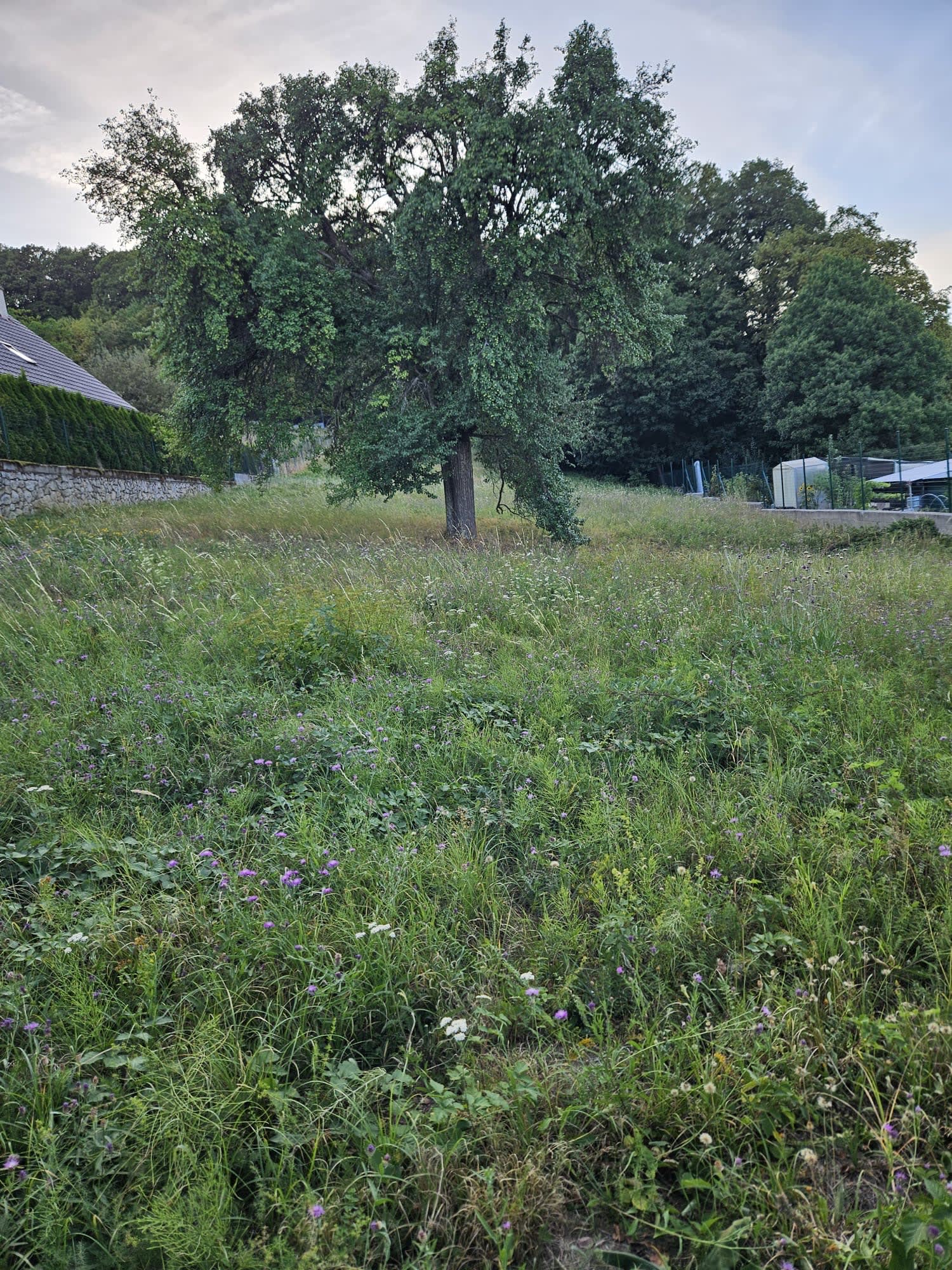Predám 2340m2, STAVEBNÝ POZEMOK  pozemok v lokalite Dubodiel