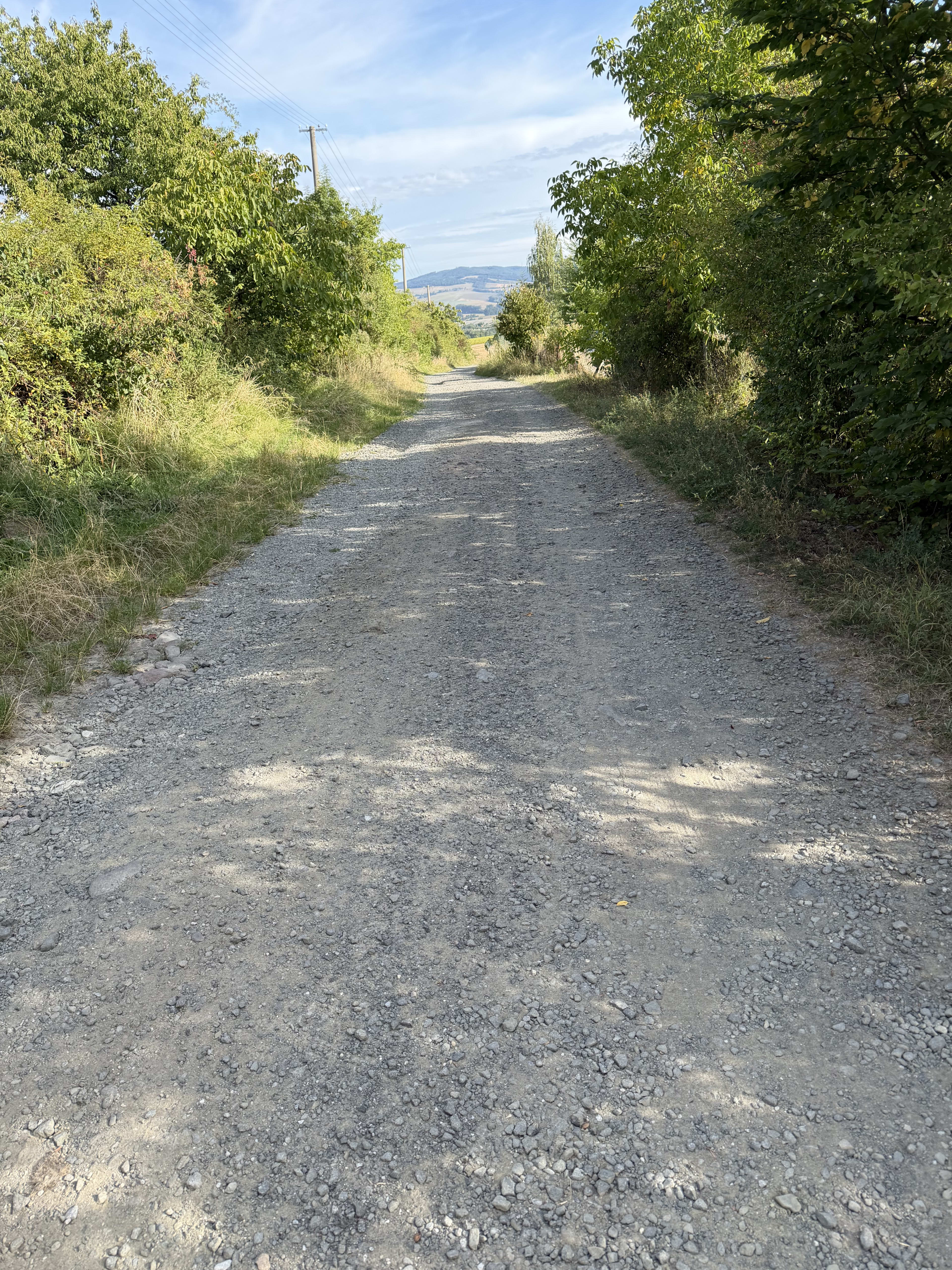 Predám slnečný pozemok v lokalite Vyšná Šebastová