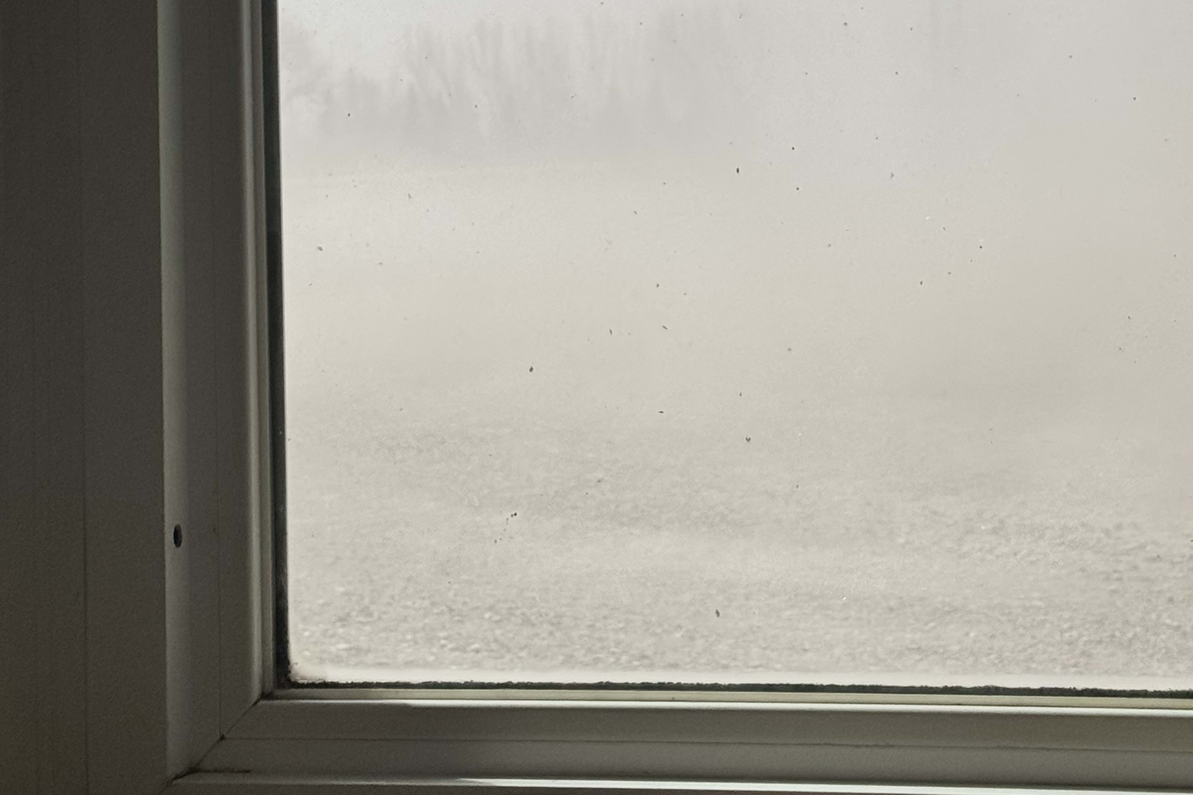 weather pic