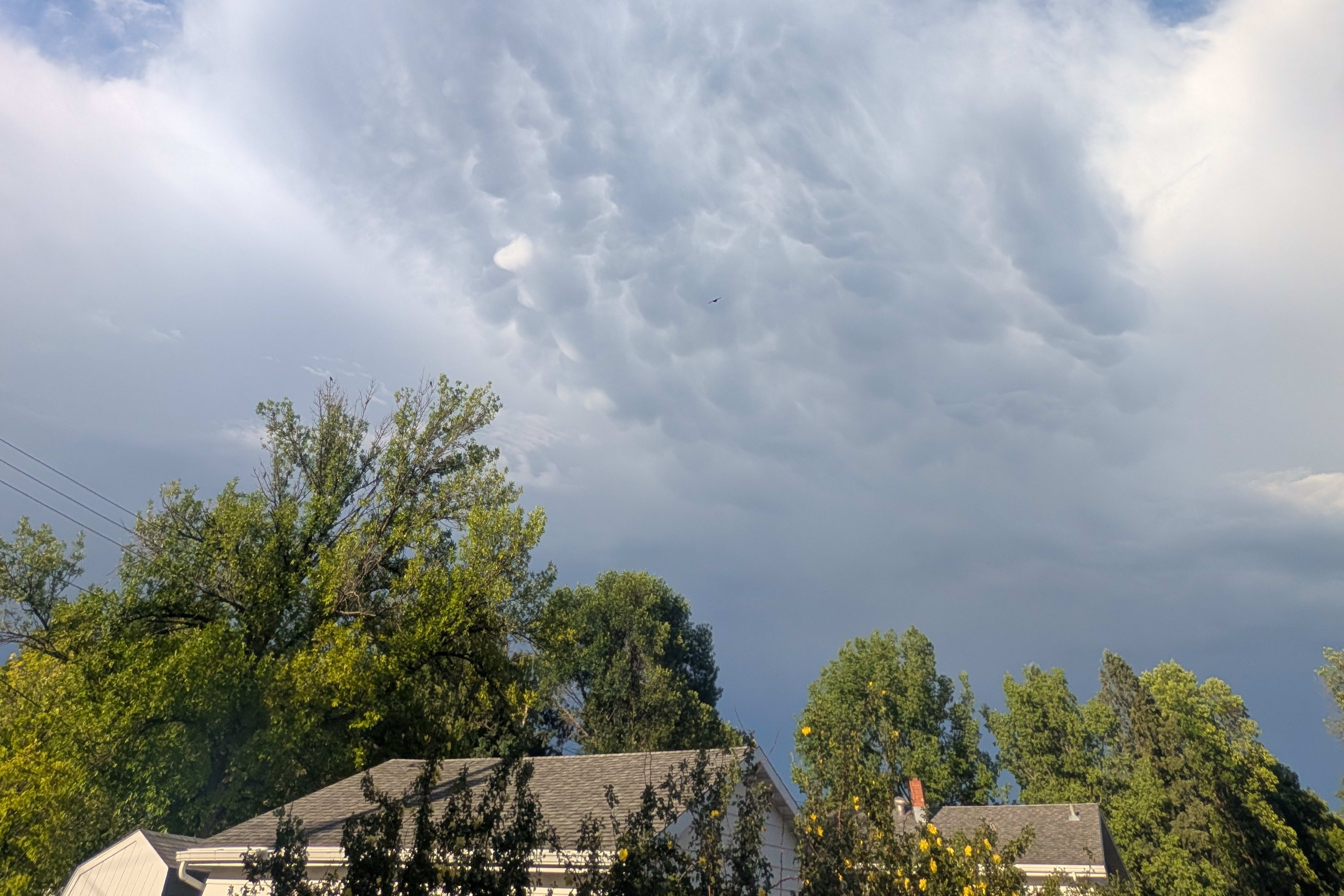 weather pic