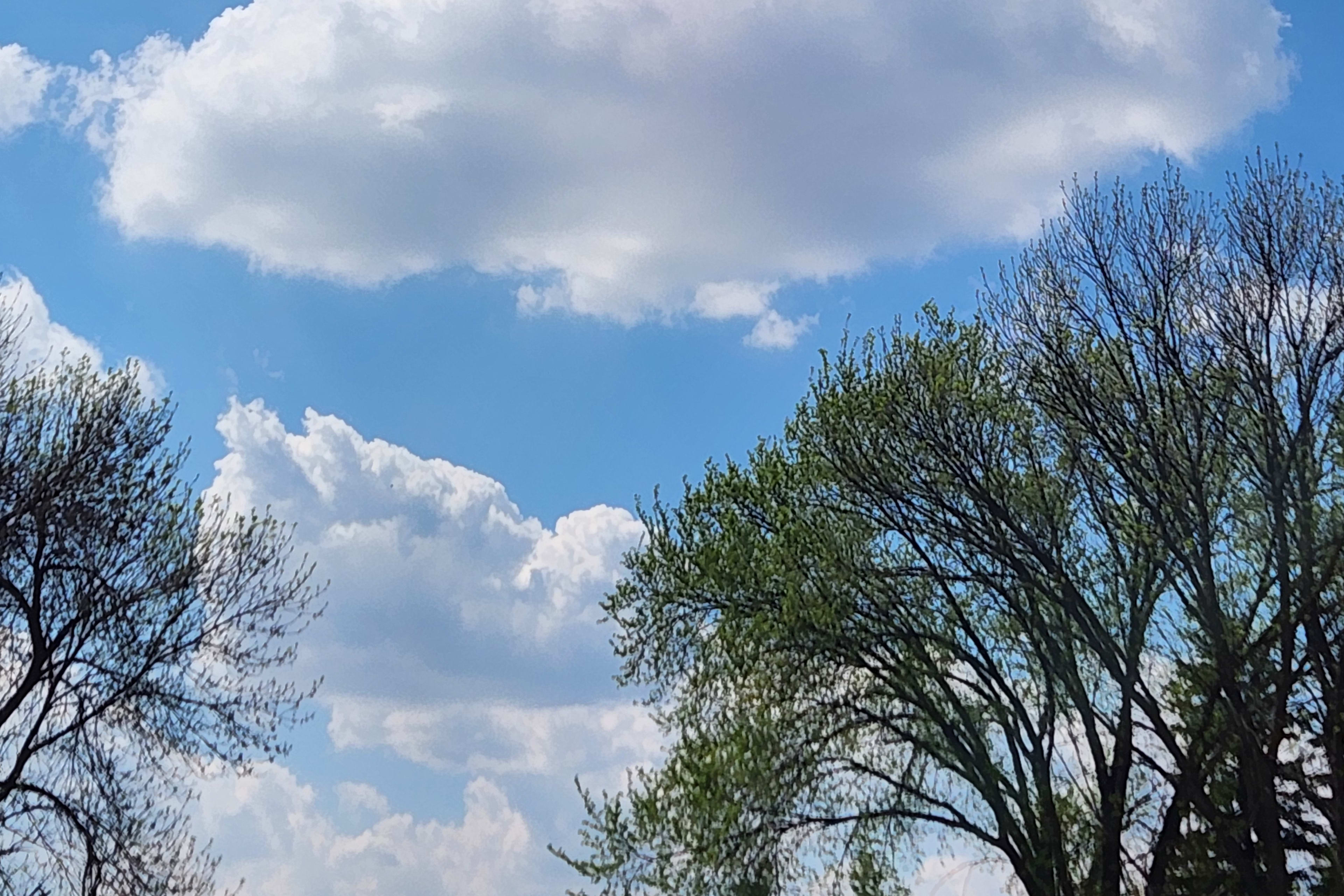 weather pic