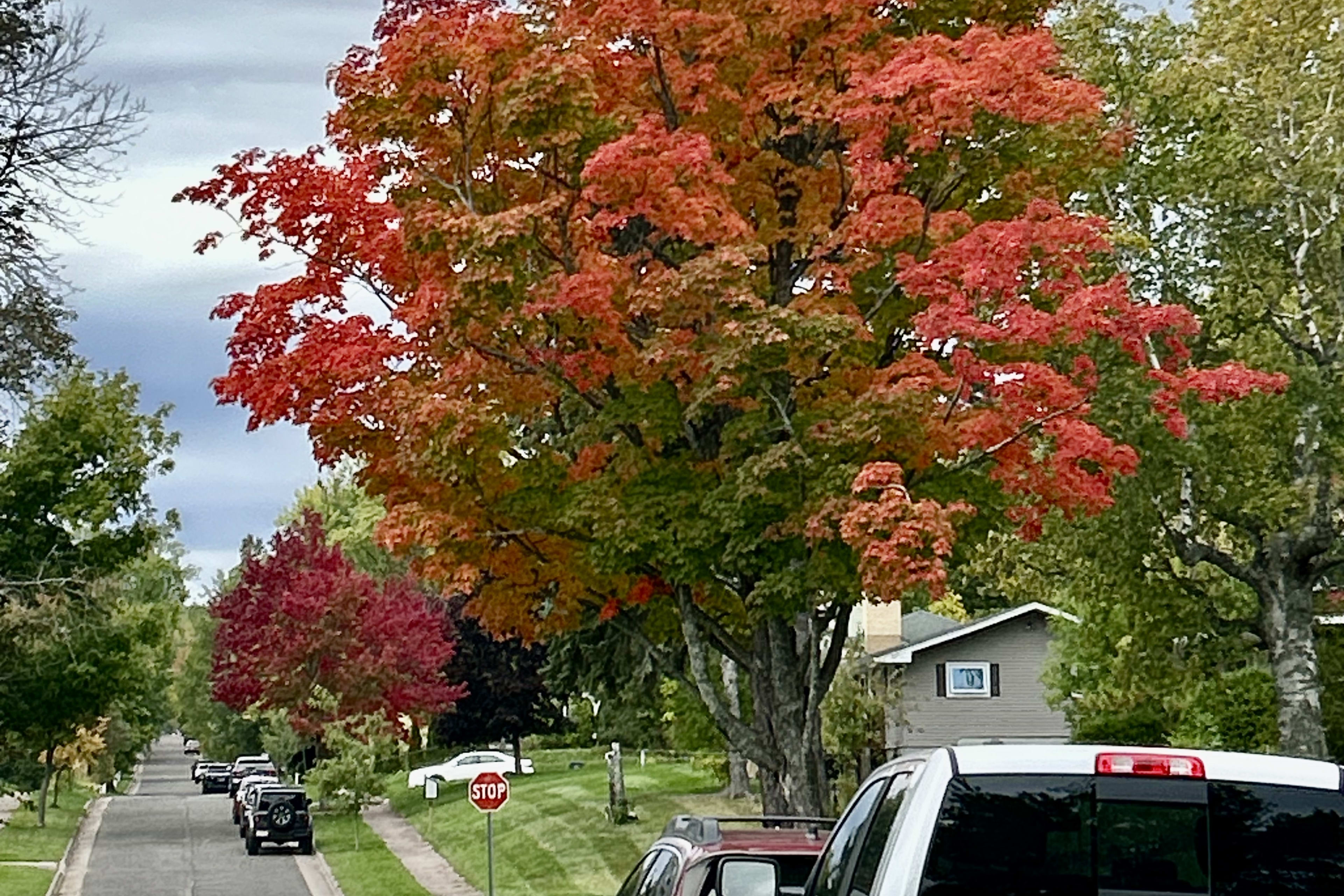 weather pic